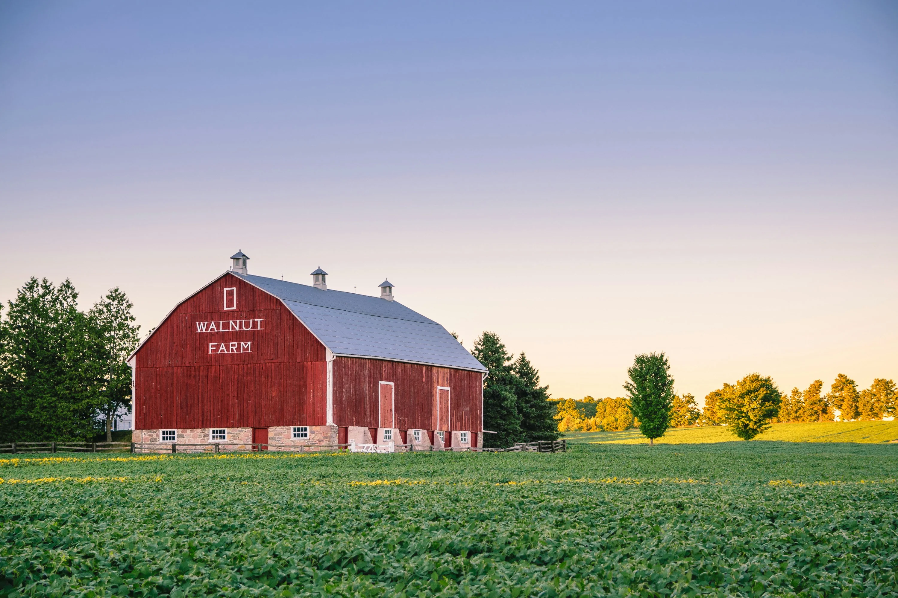 A Taste of Amish Country - Image 2