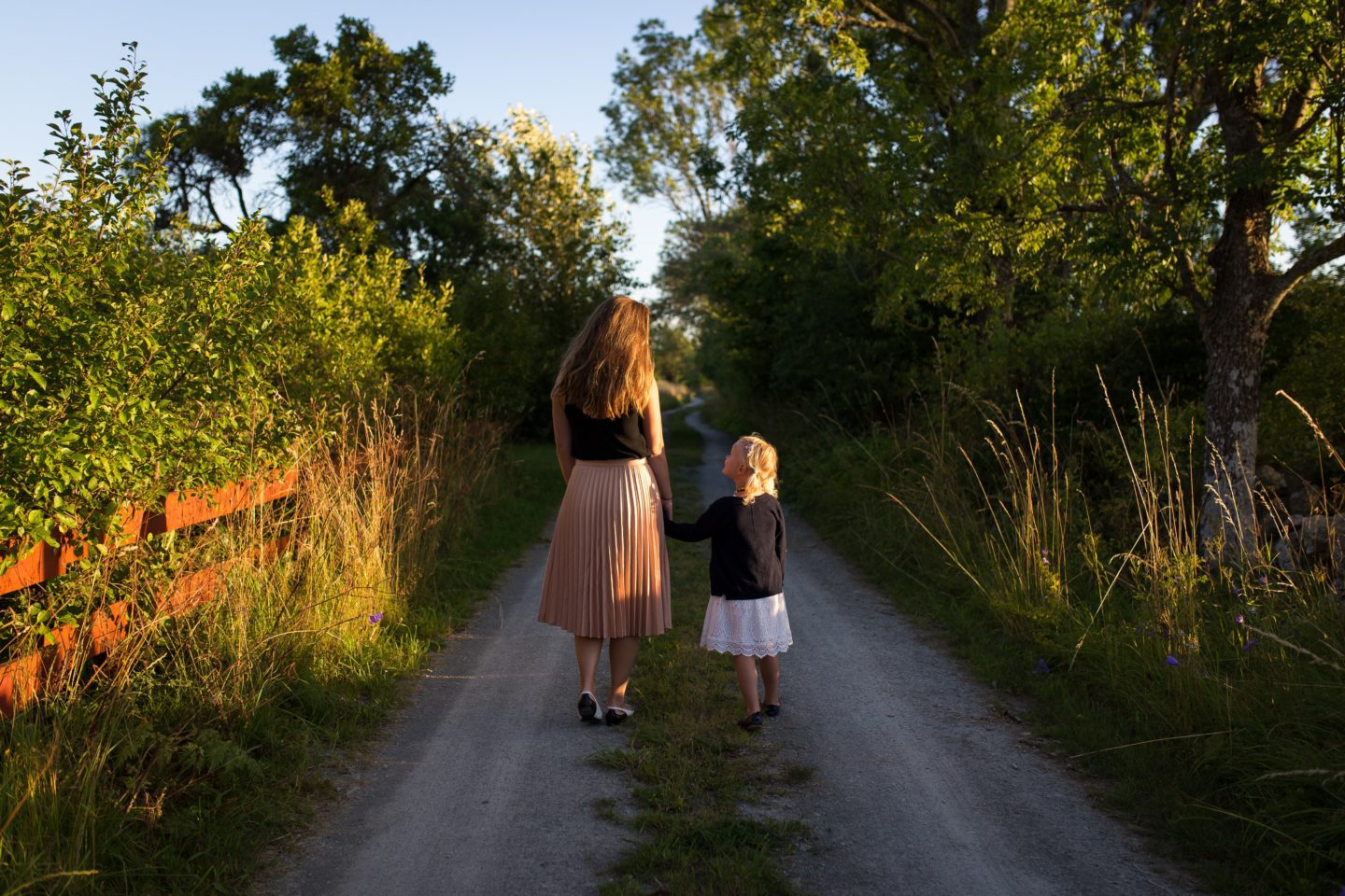 All the Pretty Things - Image 4