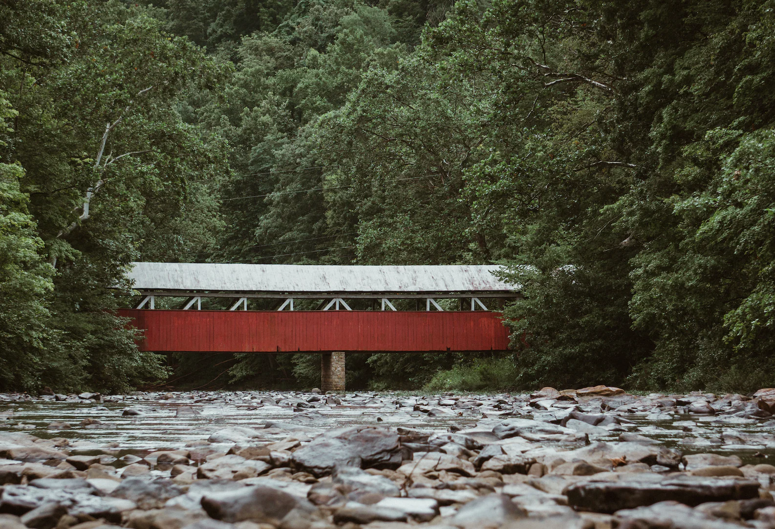 Along the River - Image 5