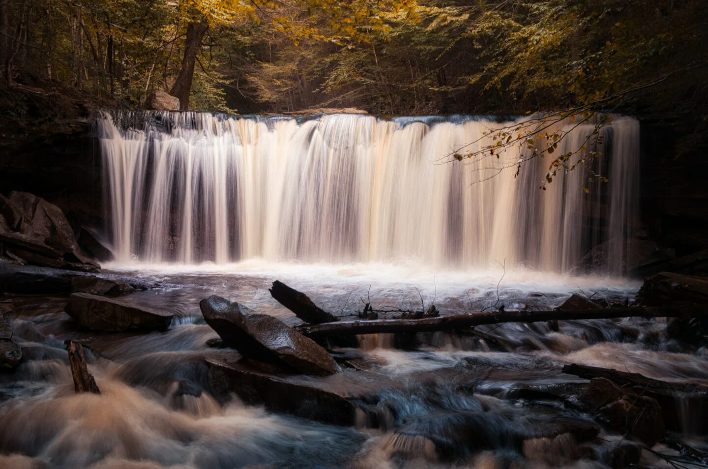 An Adventure is Brewing - Image 5