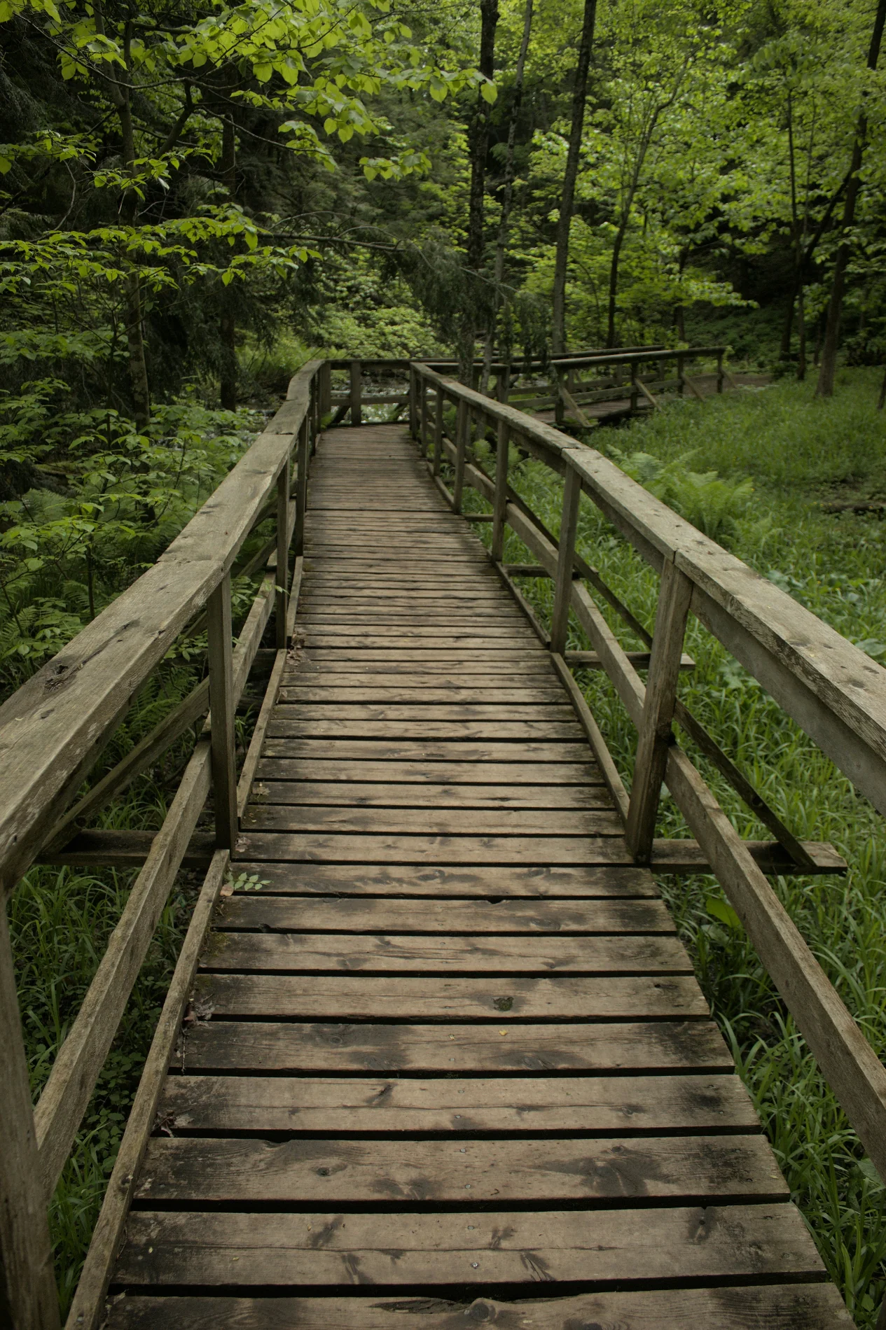 Bayside Wonders - Image 5