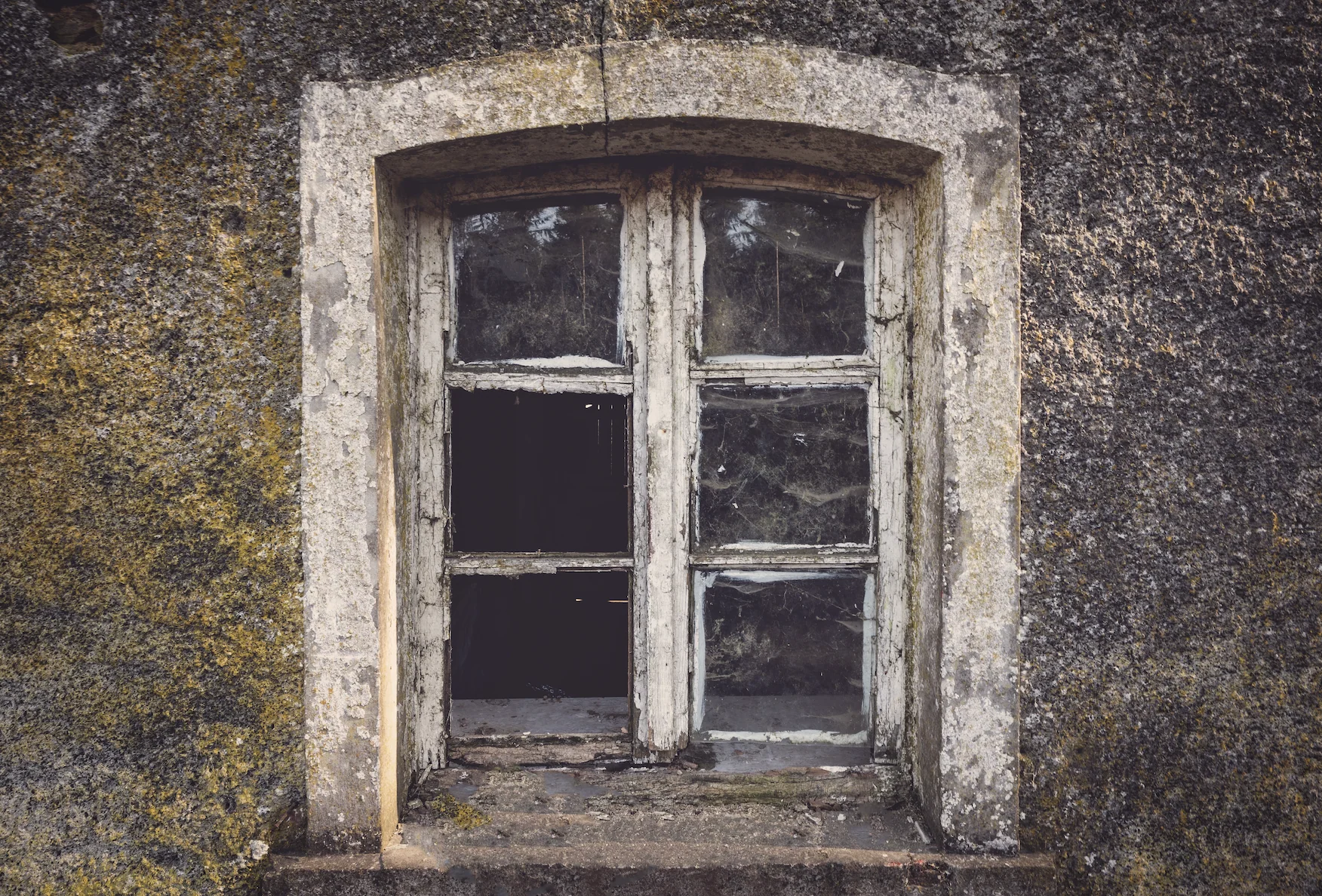 Beautifully Haunted - Image 3