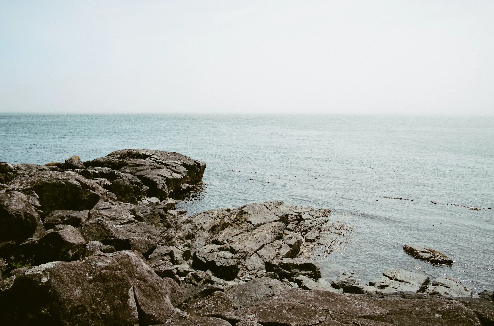 Beautifully Haunted - Image 4