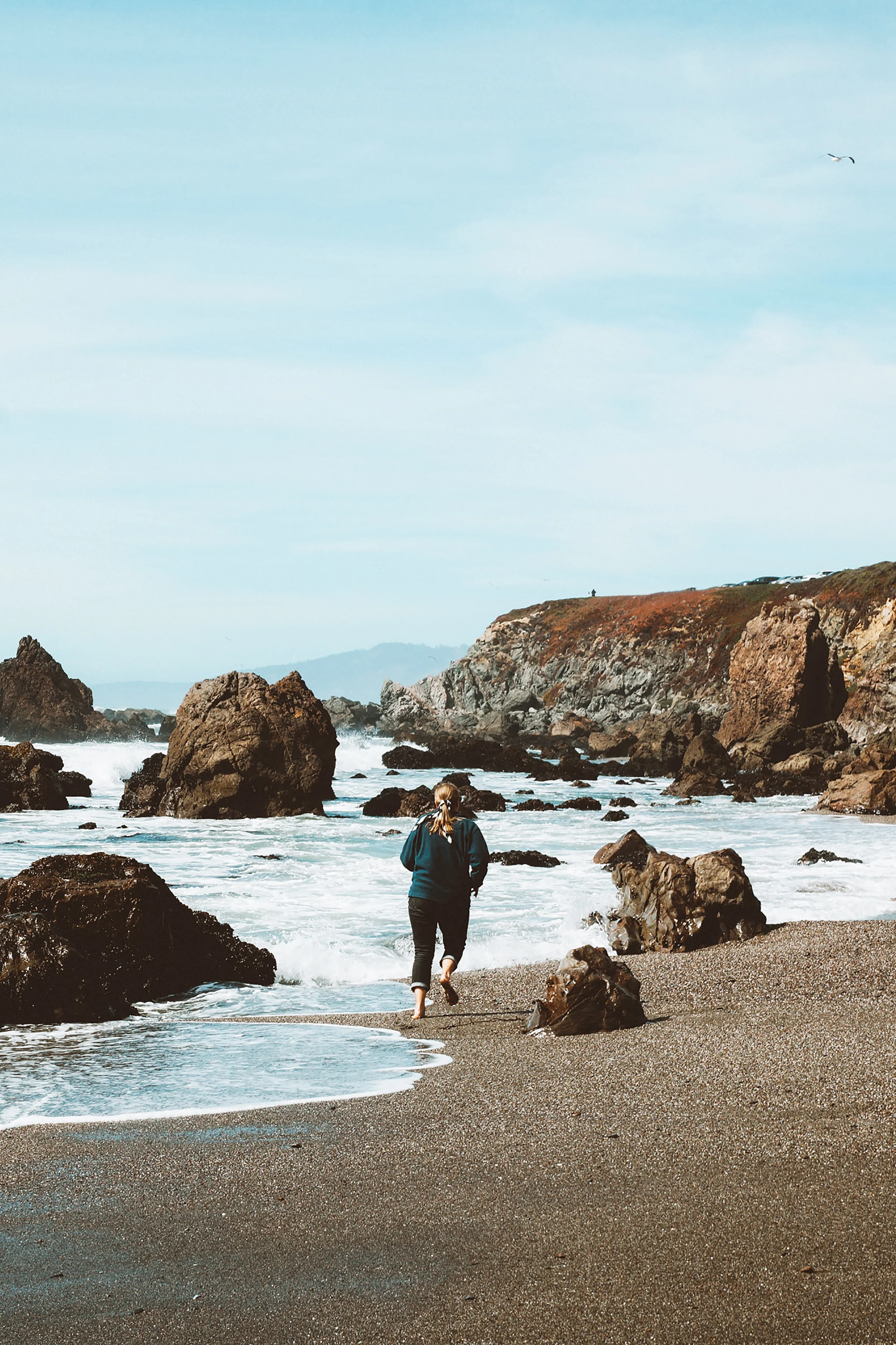 Birds, Breezes & Cheeses