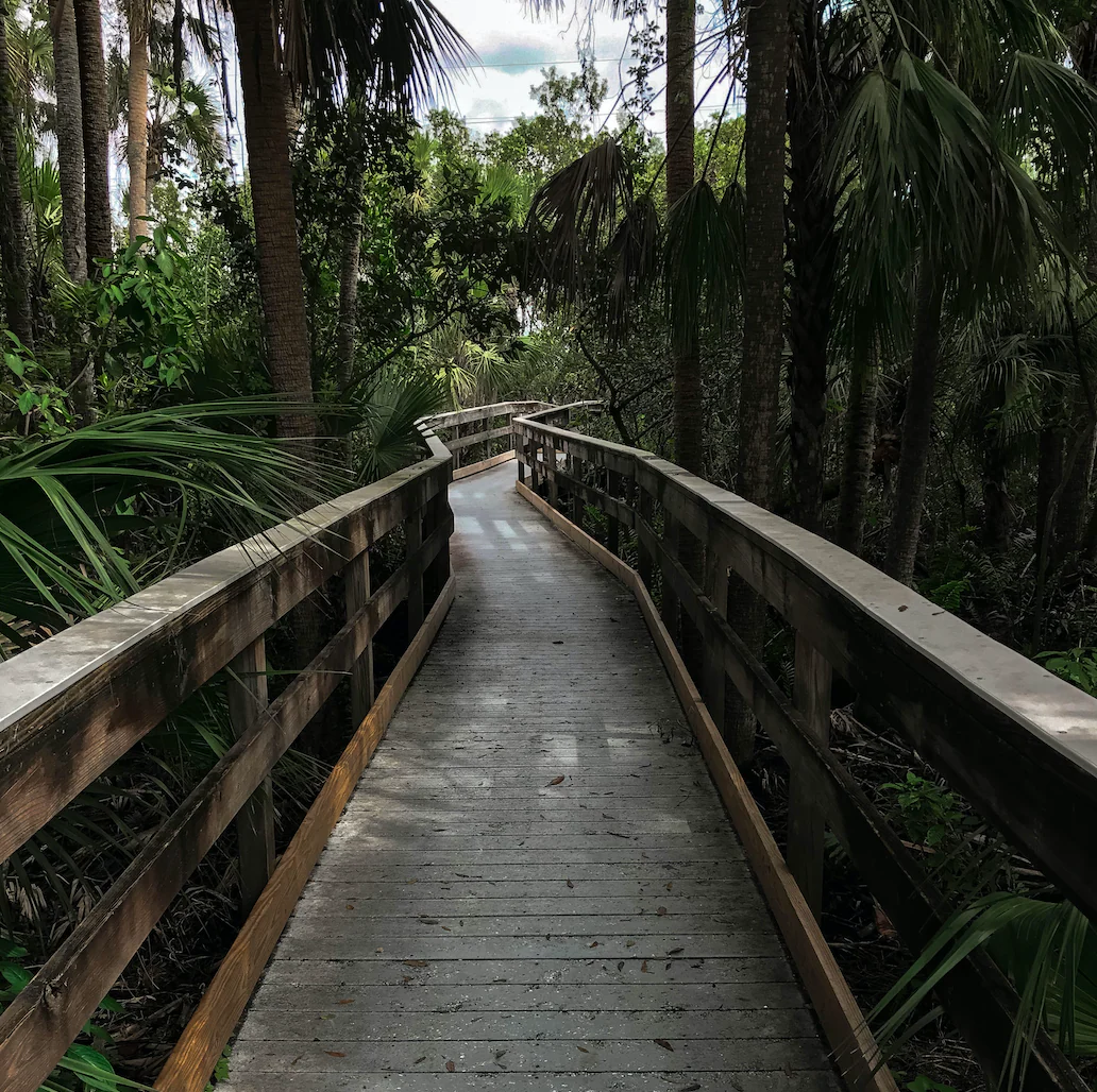 Boardwalks, Brews & Markets - Image 3