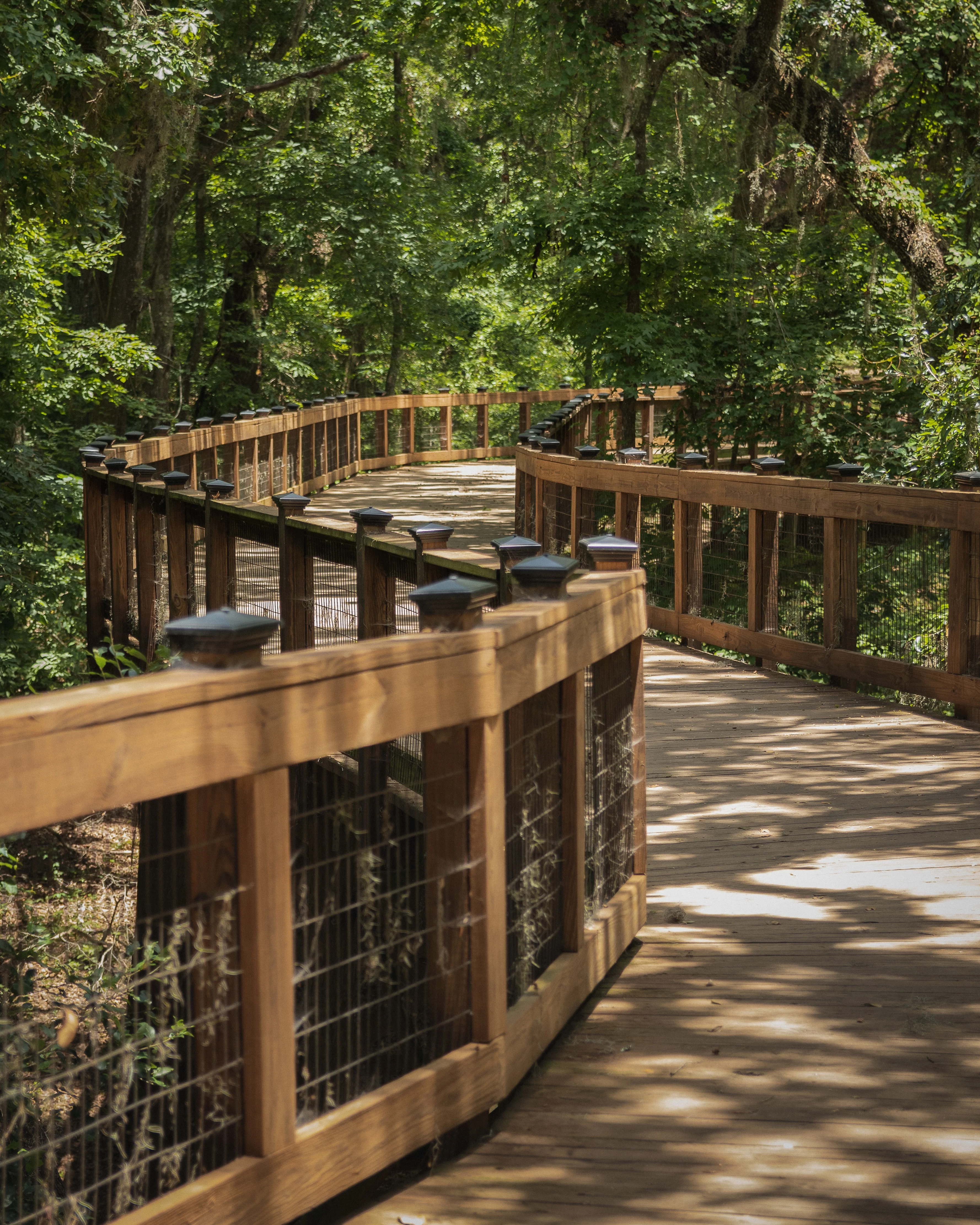 Boardwalks, Brews & Markets - Image 6