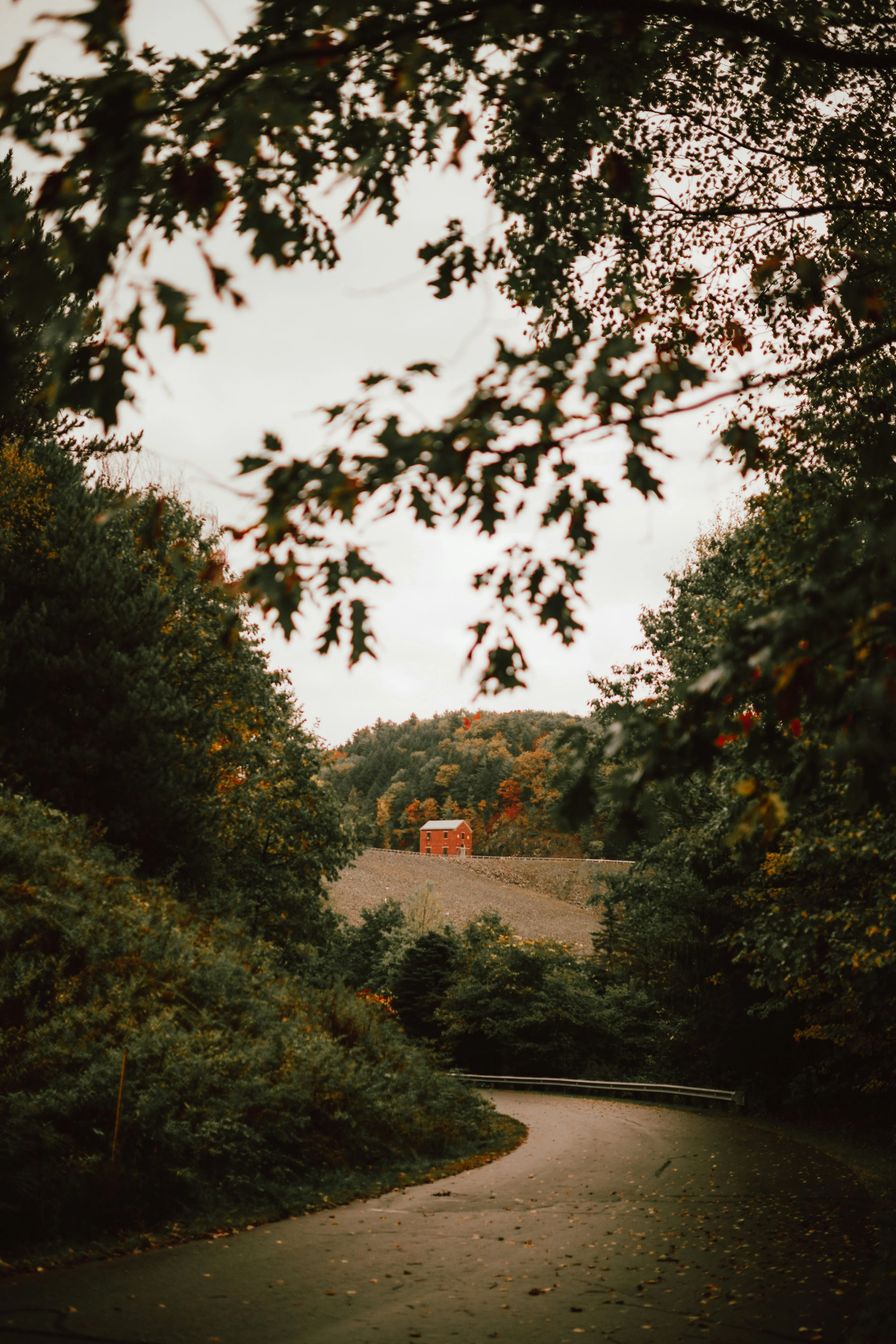 Bridges & Beauty - Image 3