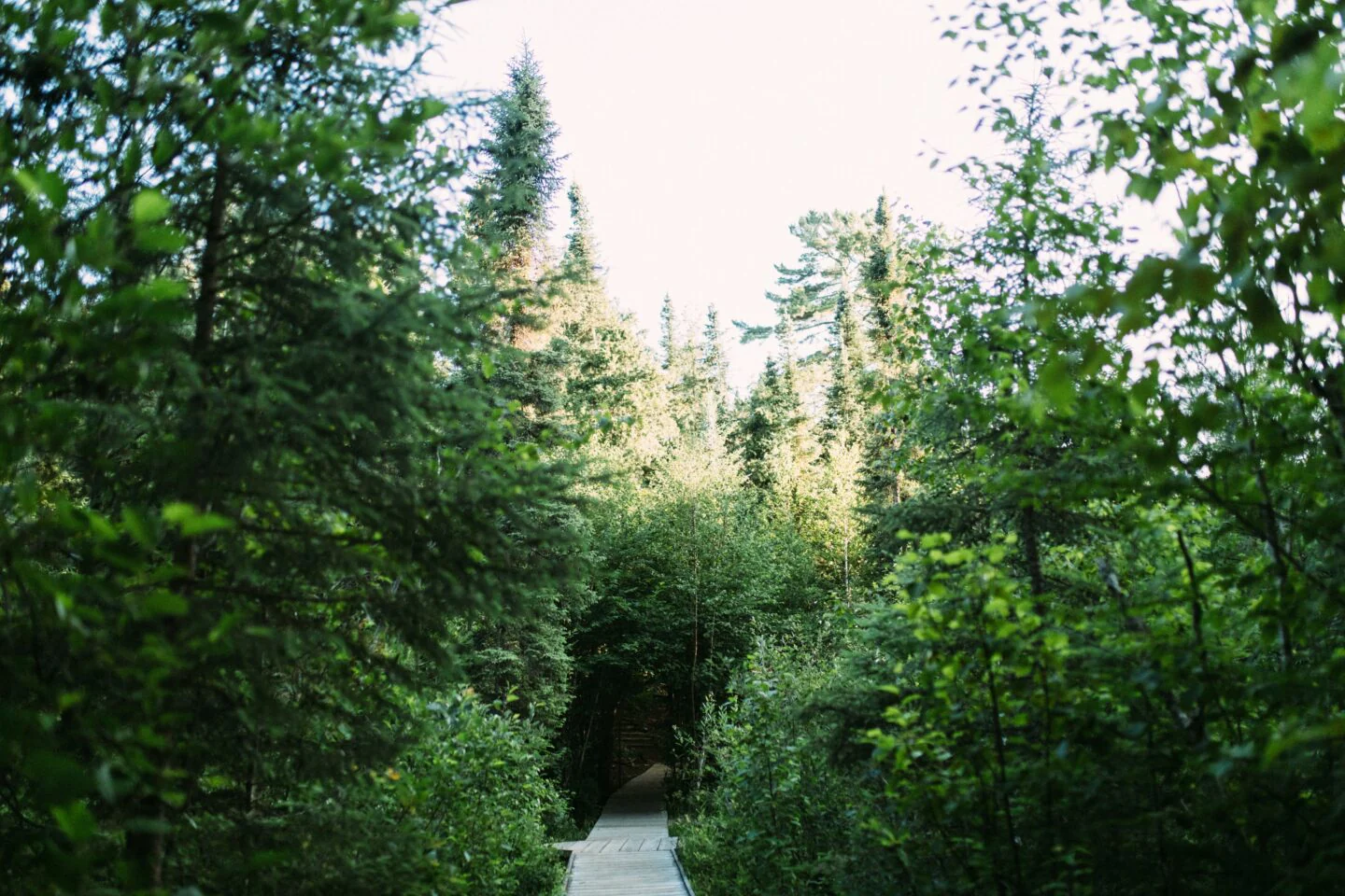Chasing Waterfalls - Image 5