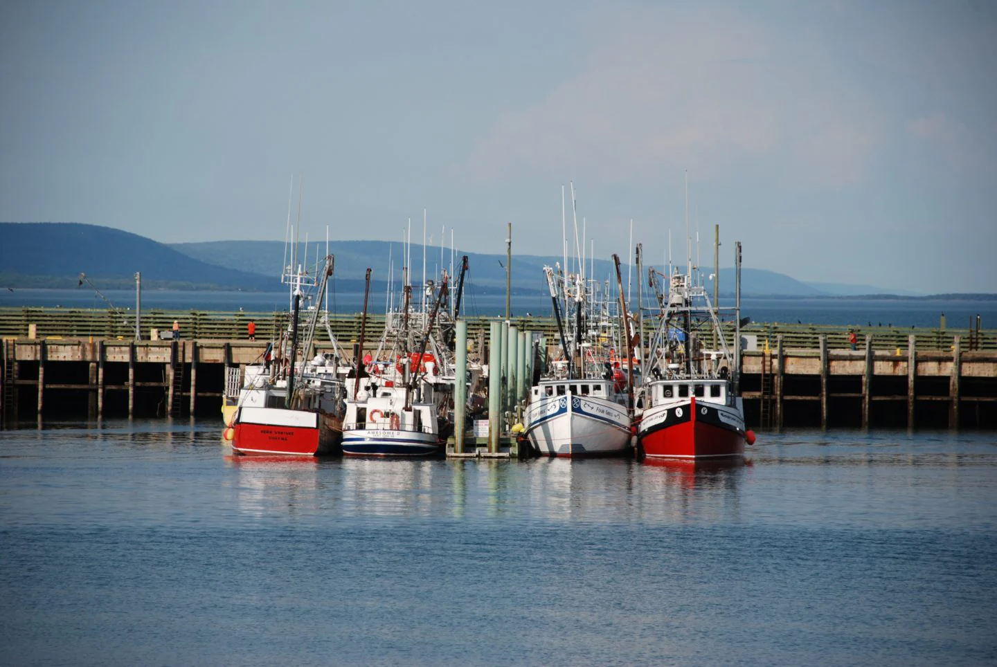 Coastal Crawl - Image 3