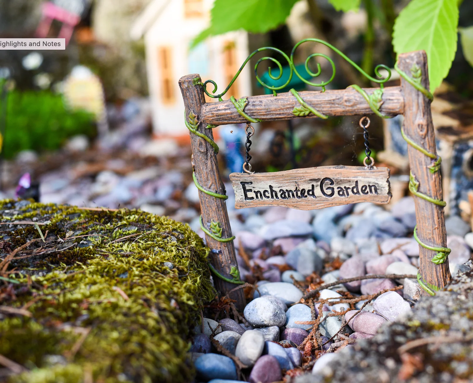 Enchanted Adventures - Image 4