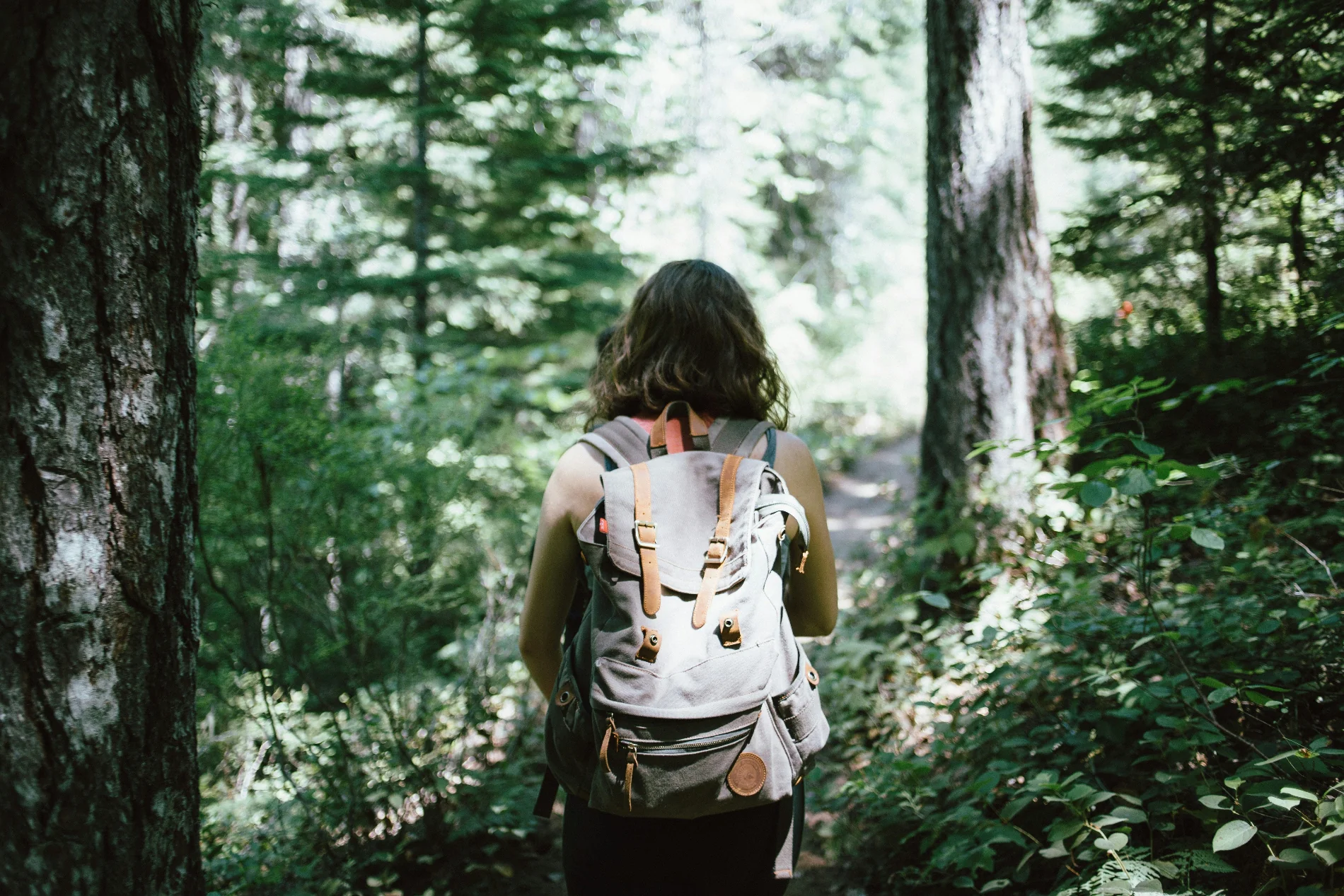 Escape to Nature - Image 3