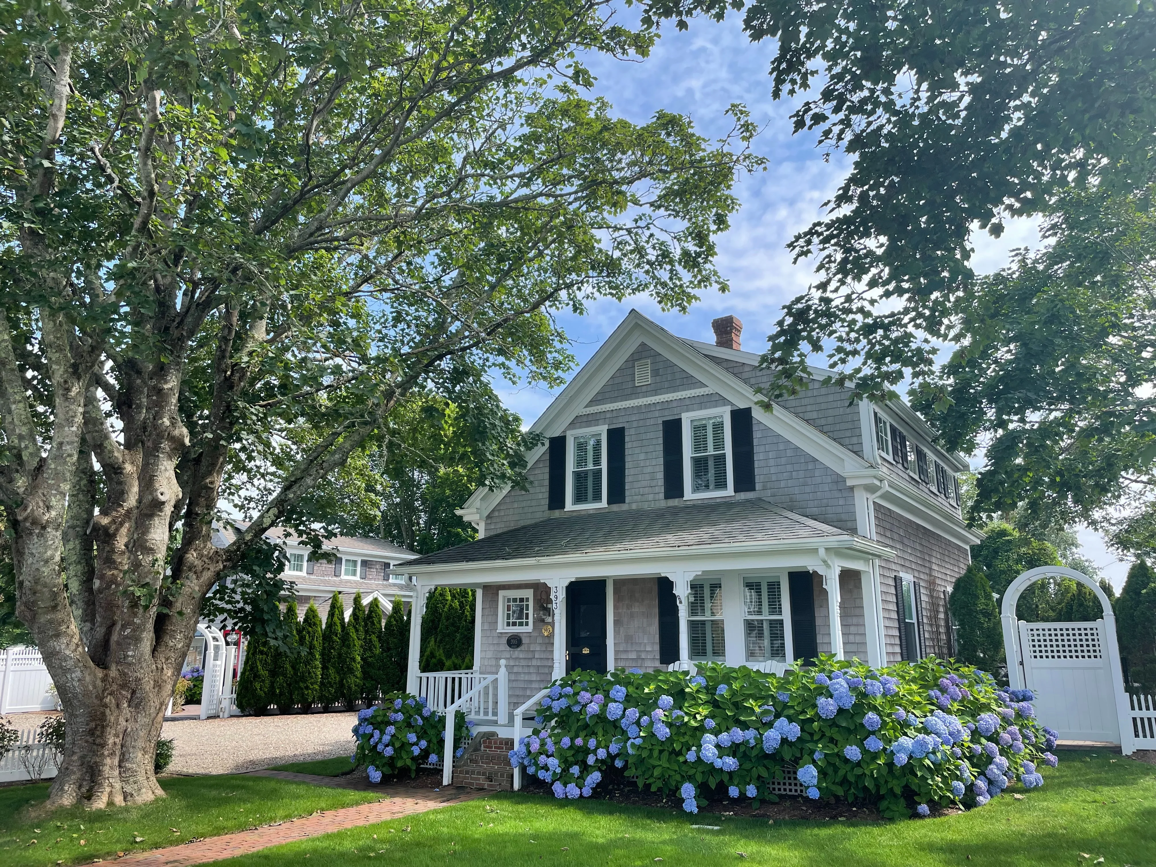 Escape to the Cape - Image 4