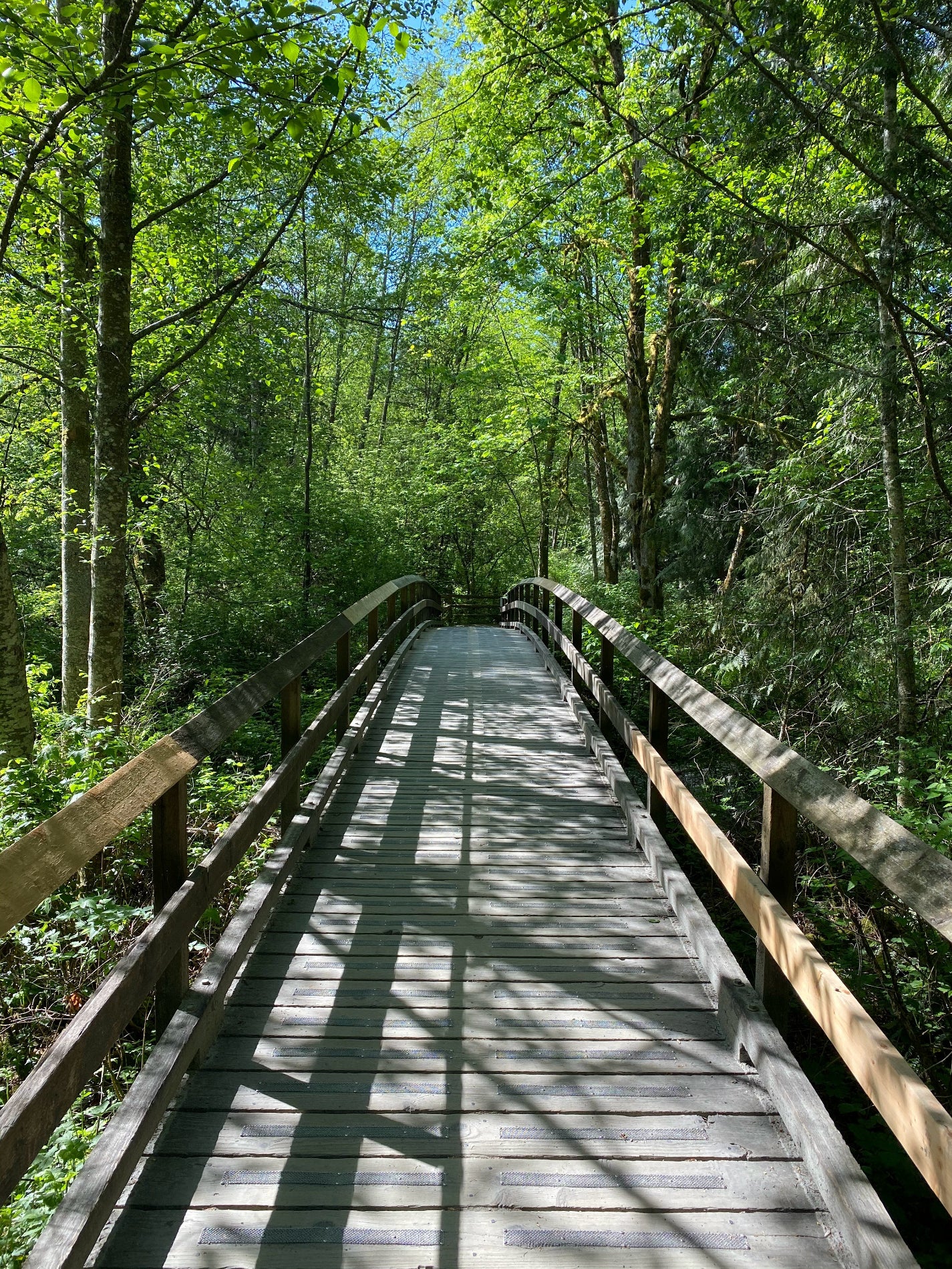 From Country to Coast - Image 4