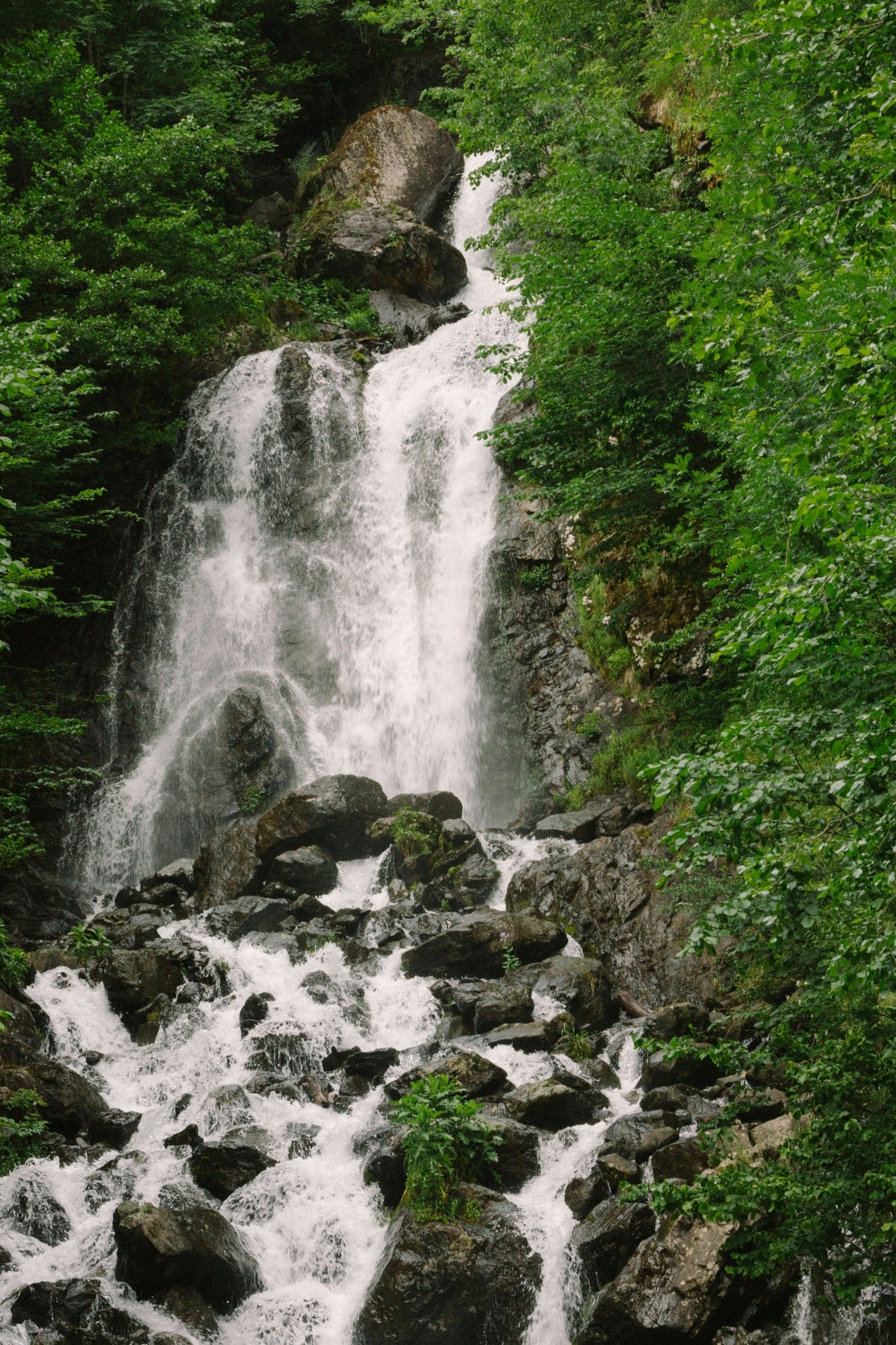 From Country to Coast - Image 5