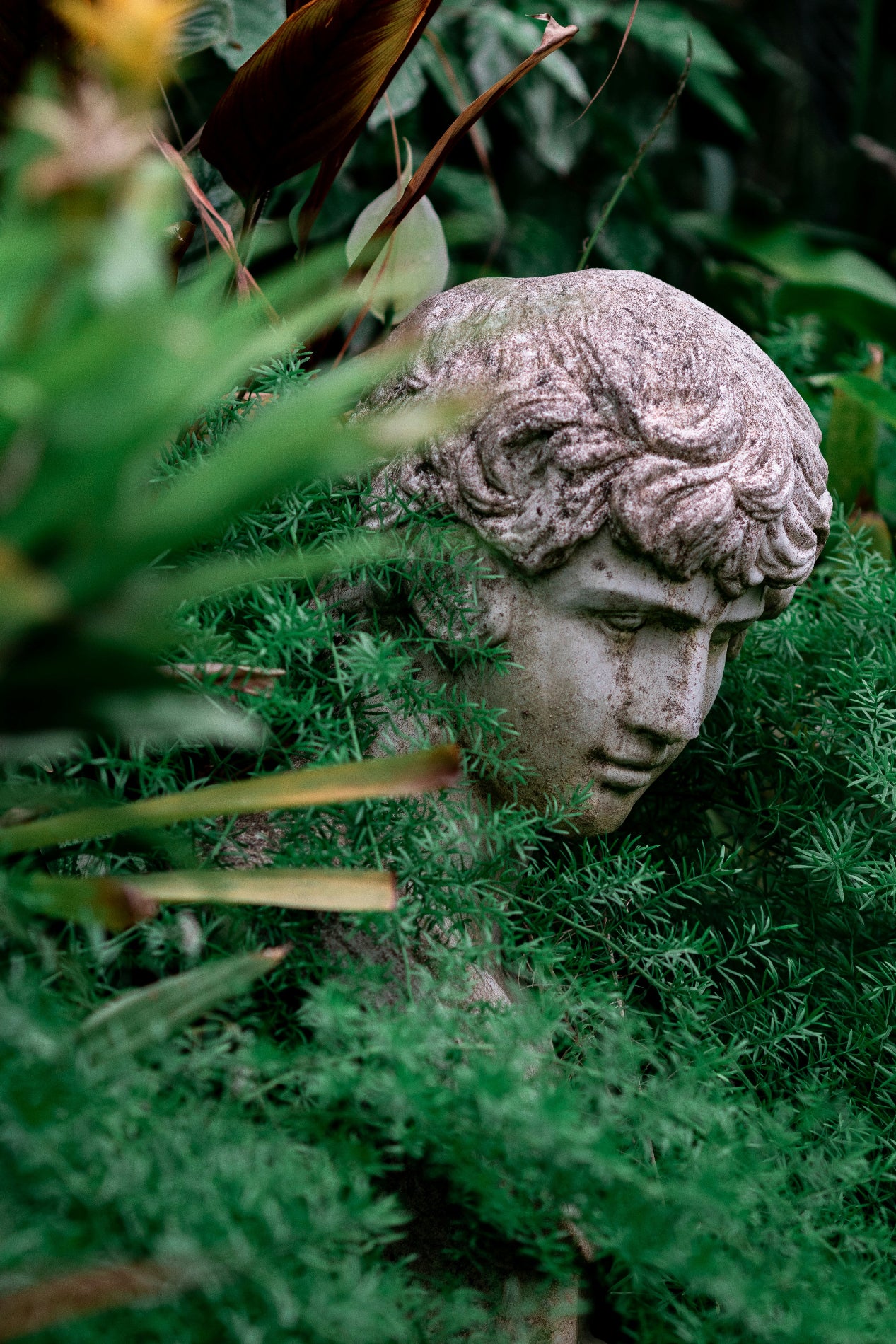 Gardens, Trails & Local Ales - Image 3