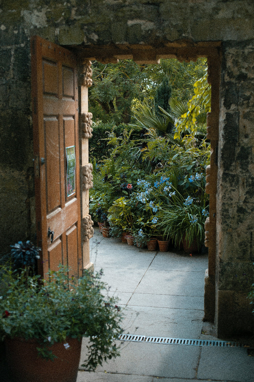 Groves, Gardens & Grapevines - Image 4