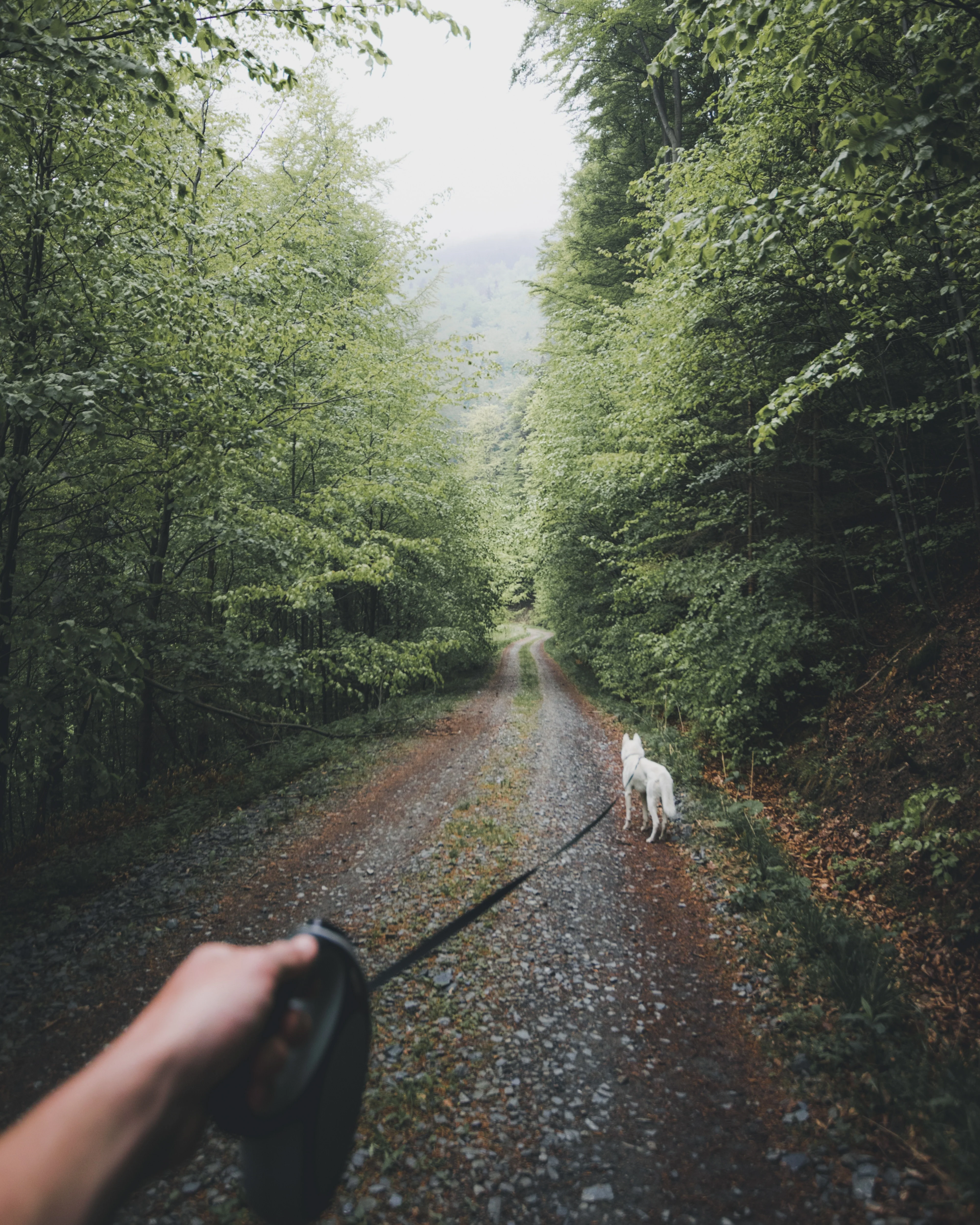 Haunts, Hikes & History - Image 6