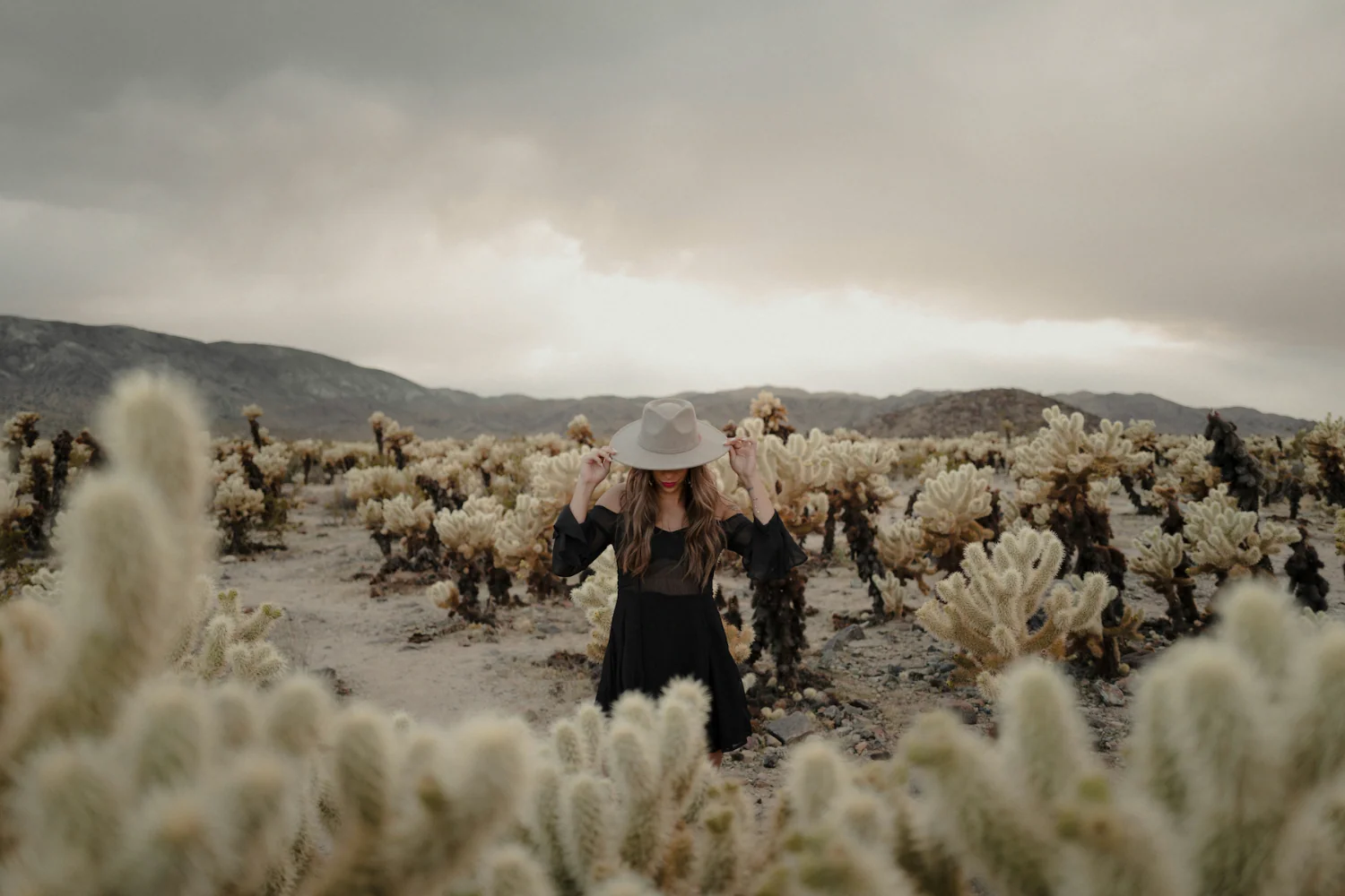 Joshua Tree Journey