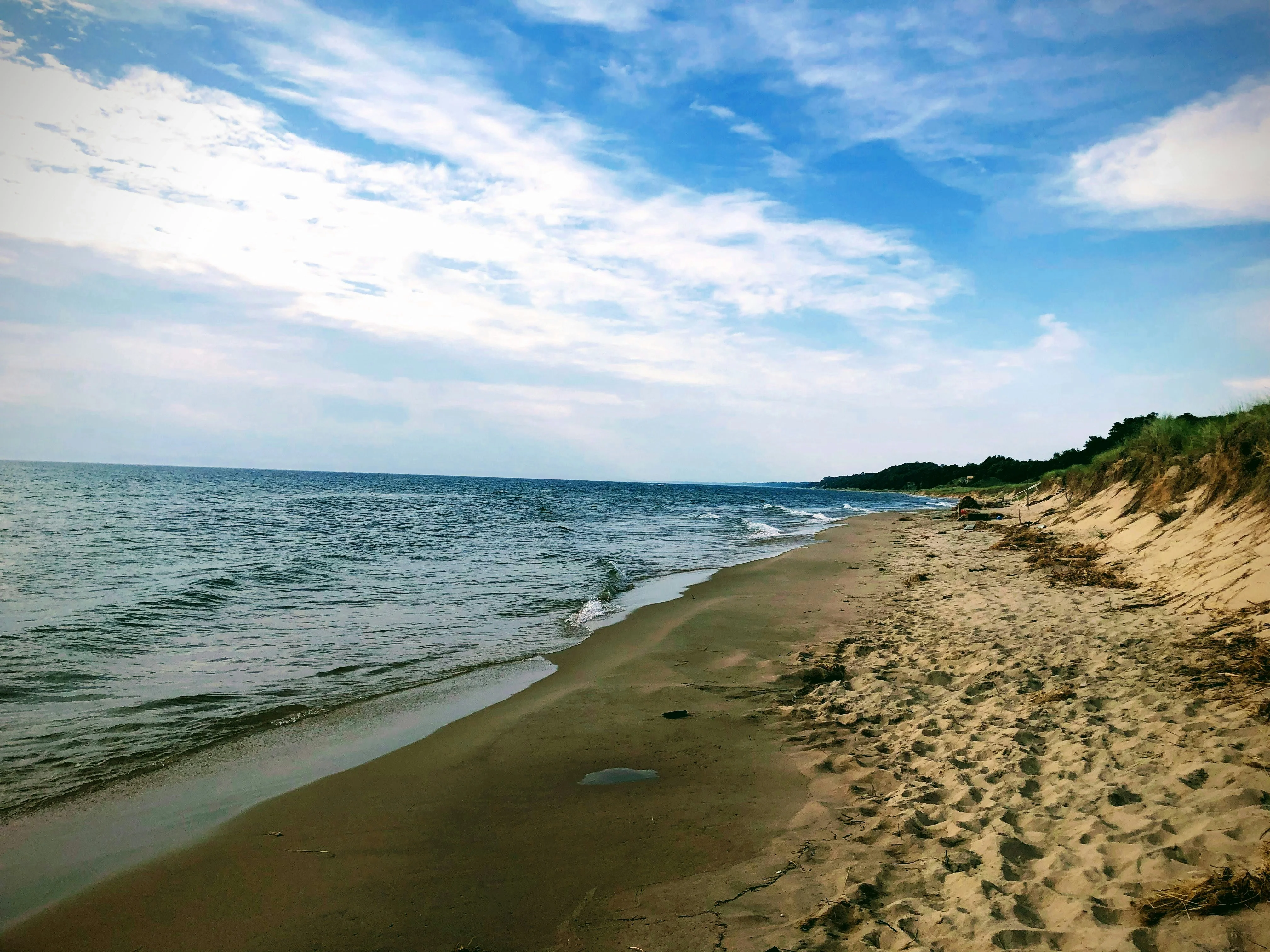 Lakeshore Views & Brews - Image 4