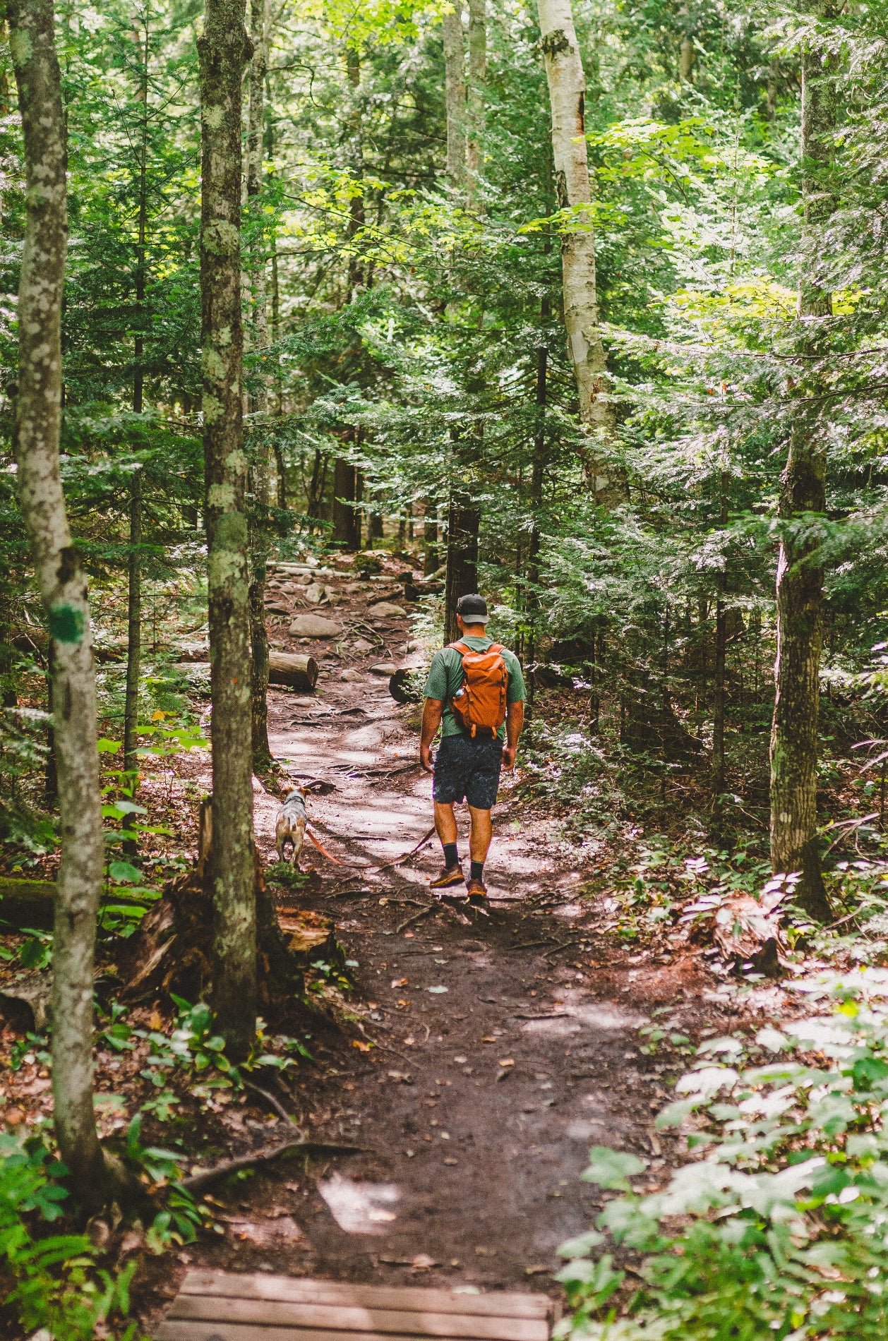 Muskoka Meandering - Image 5
