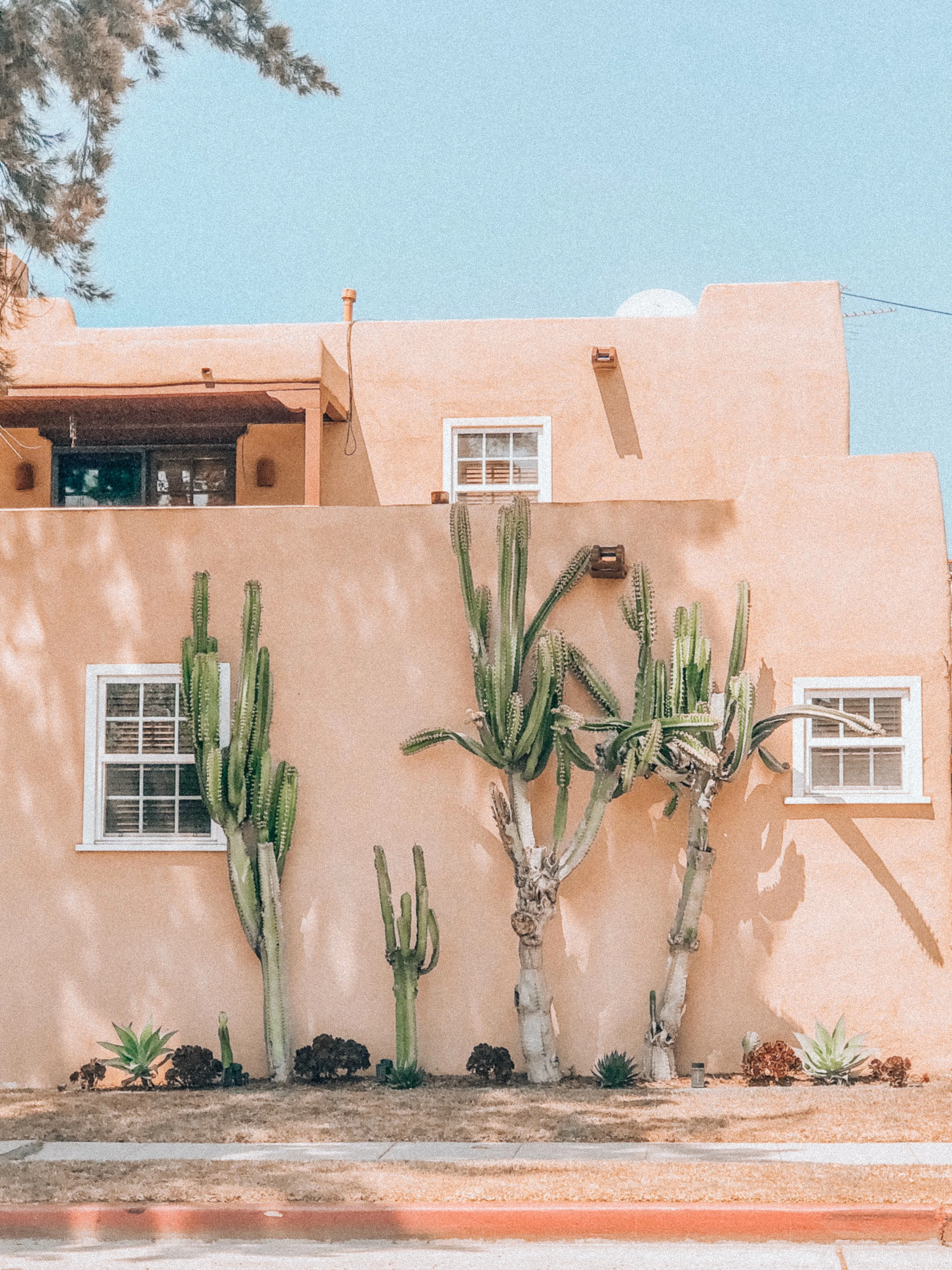 Ojai Oasis