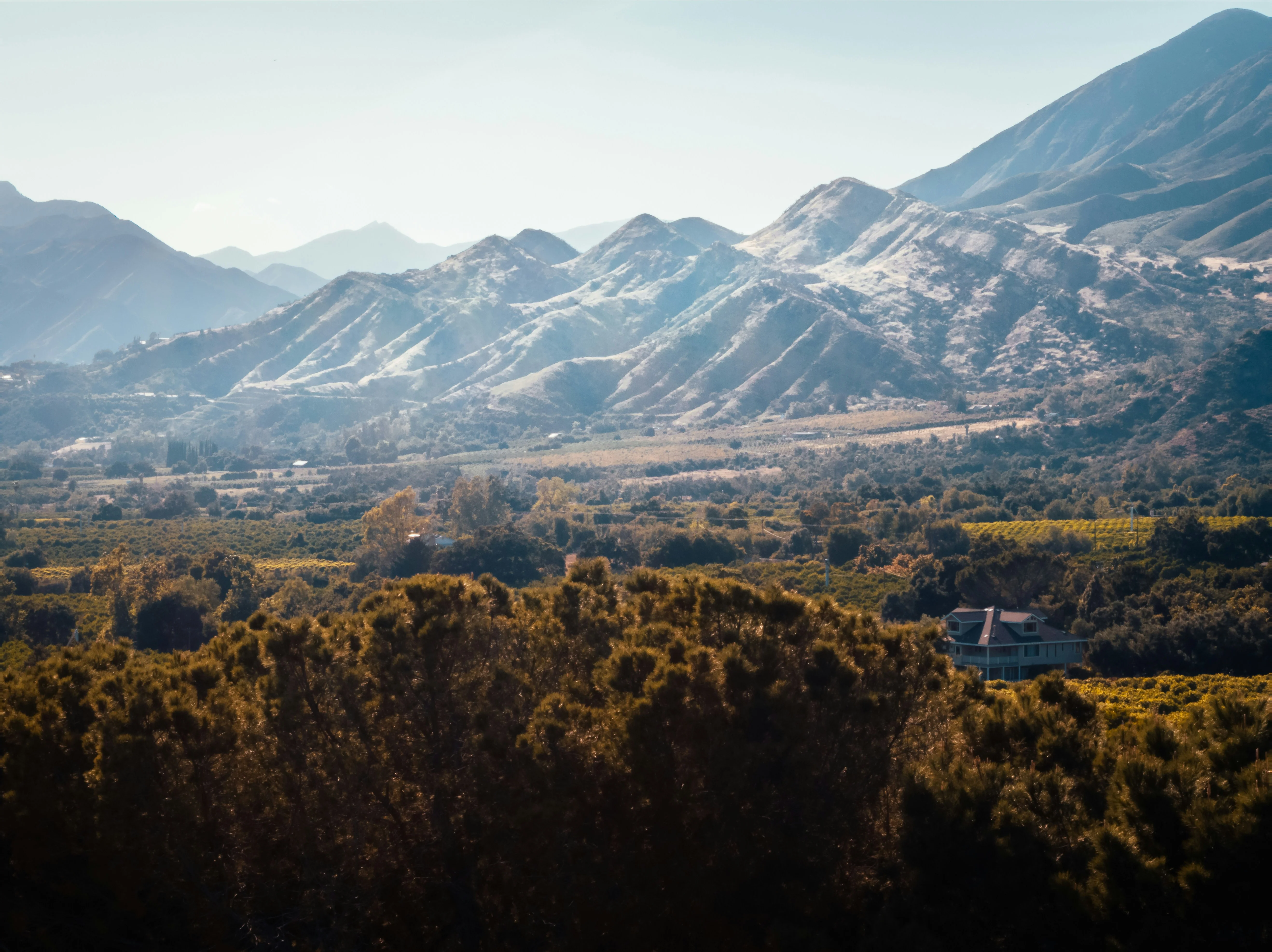 Ojai Oasis - Image 2