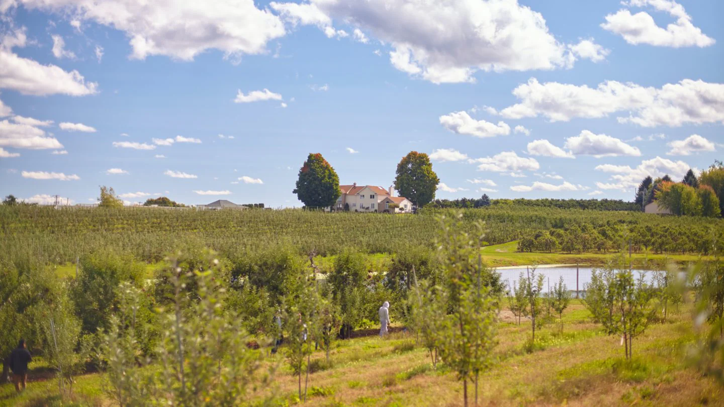 Outdoor Adventures & Scenic Roads - Image 3