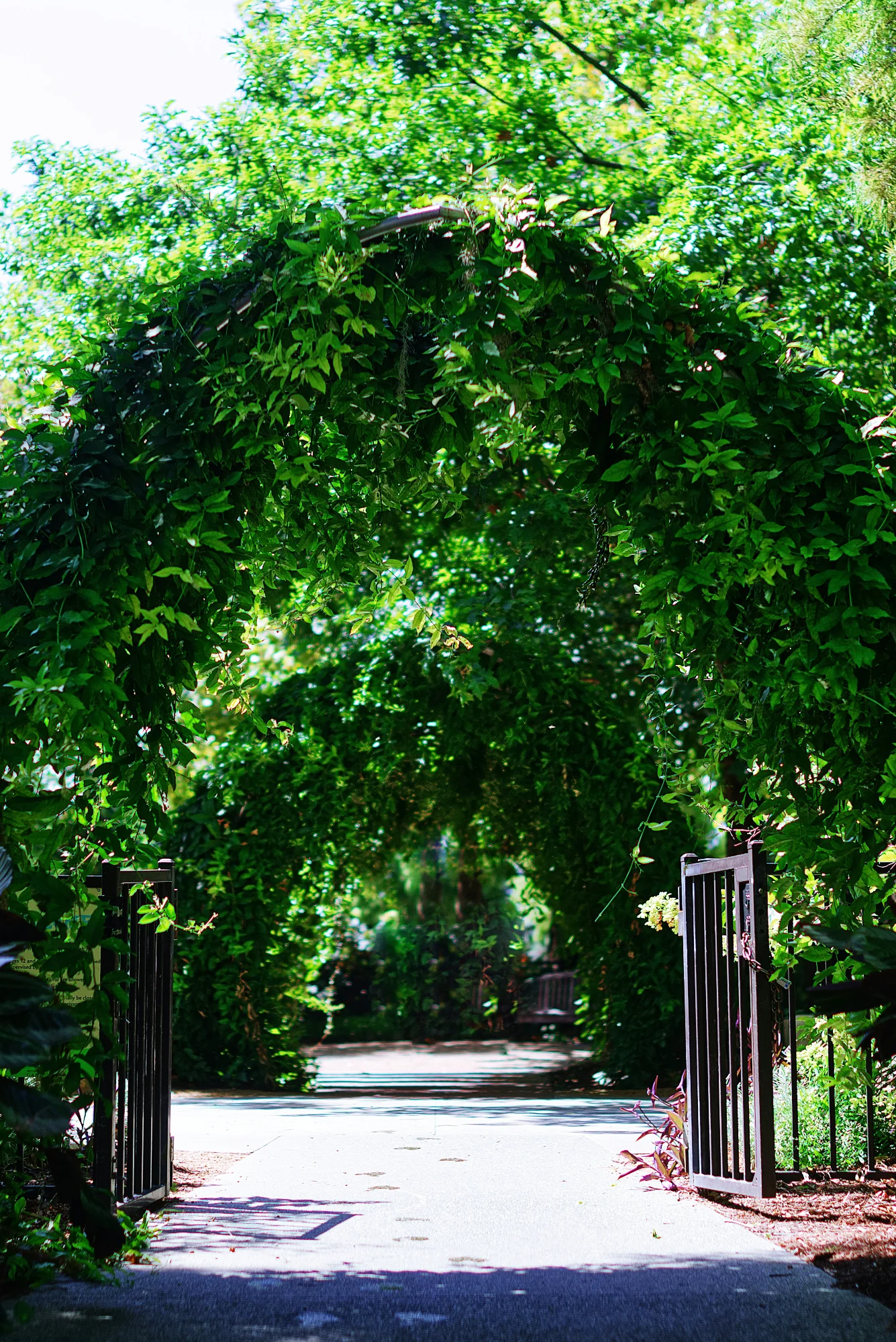 A Riverside Ramble - Image 4