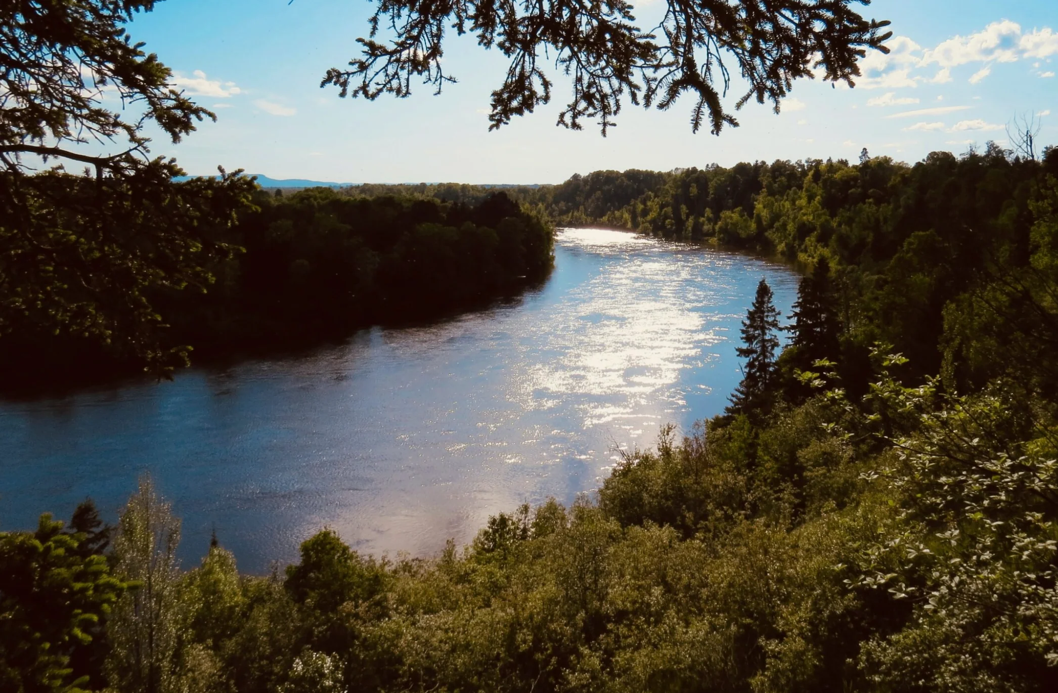 Riverside Roaming - Image 3