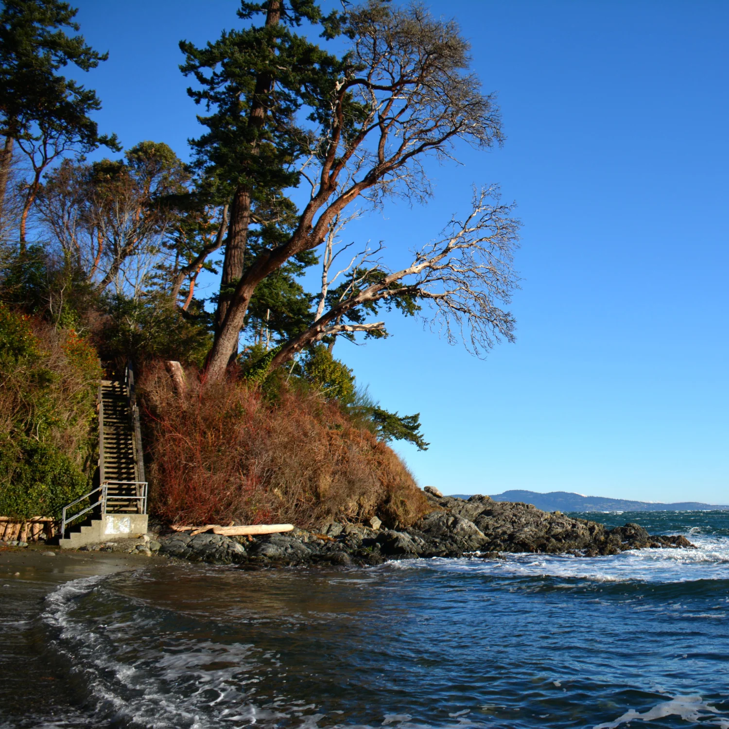 Seaside Sips & Strolls - Image 6