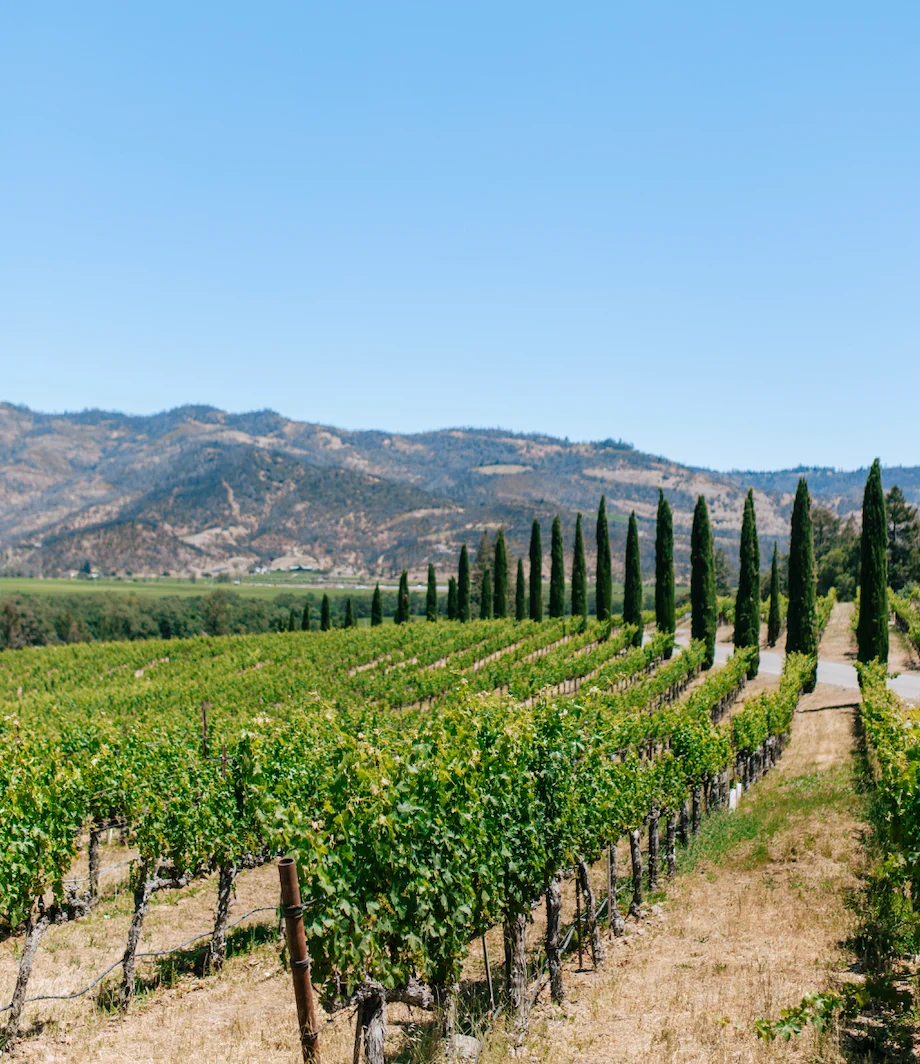 Sonoma Sips & Strolls - Image 4