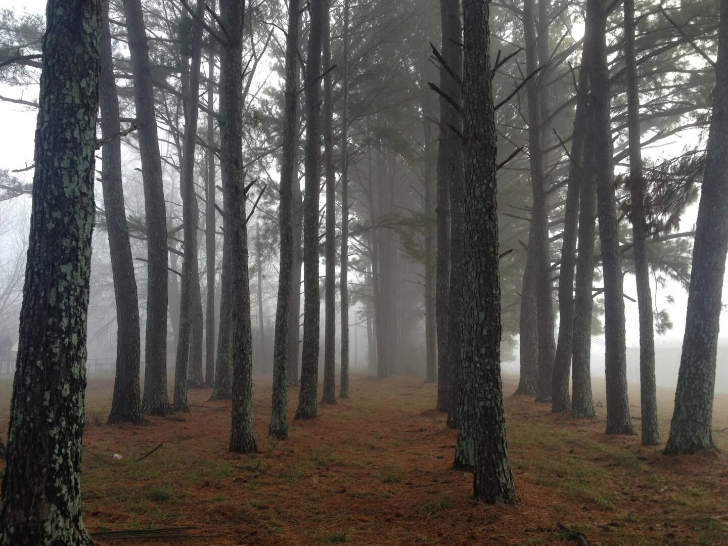 Spooky Sights & Ghostly Tales - Image 4