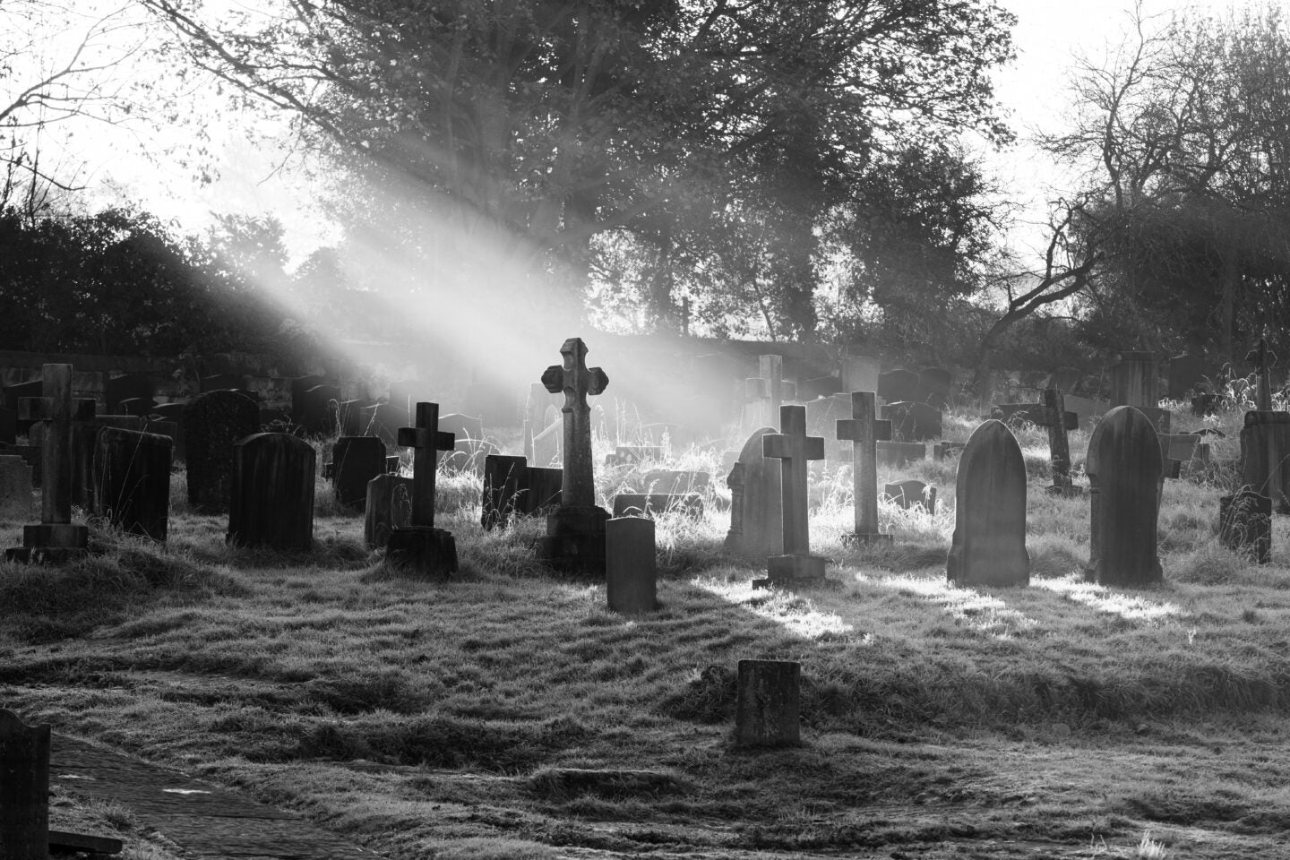 Spooky Sights & Ghostly Tales - Image 6