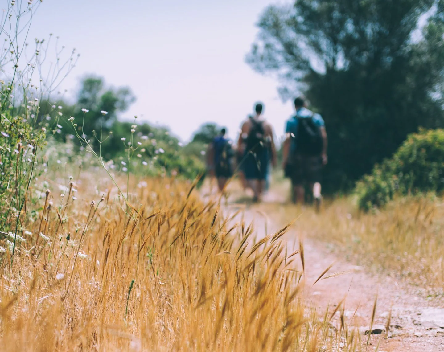 The Long & Unknown Road - Image 5