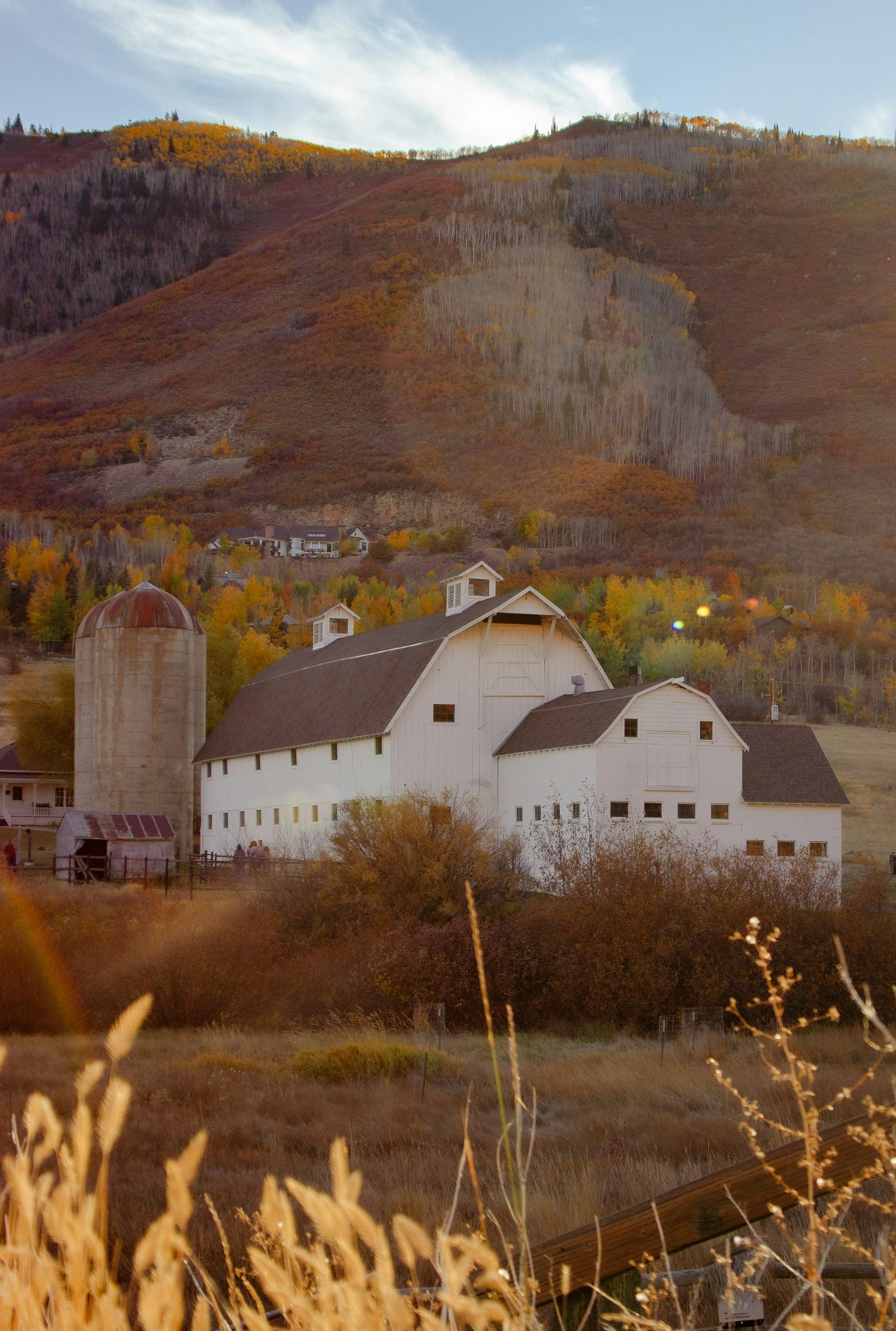 The Whimsical Route - Image 5