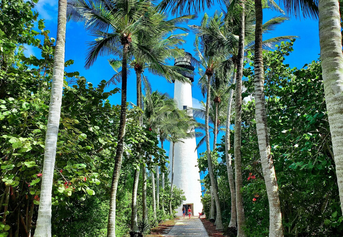 Treasure Coast Explorer - Image 4
