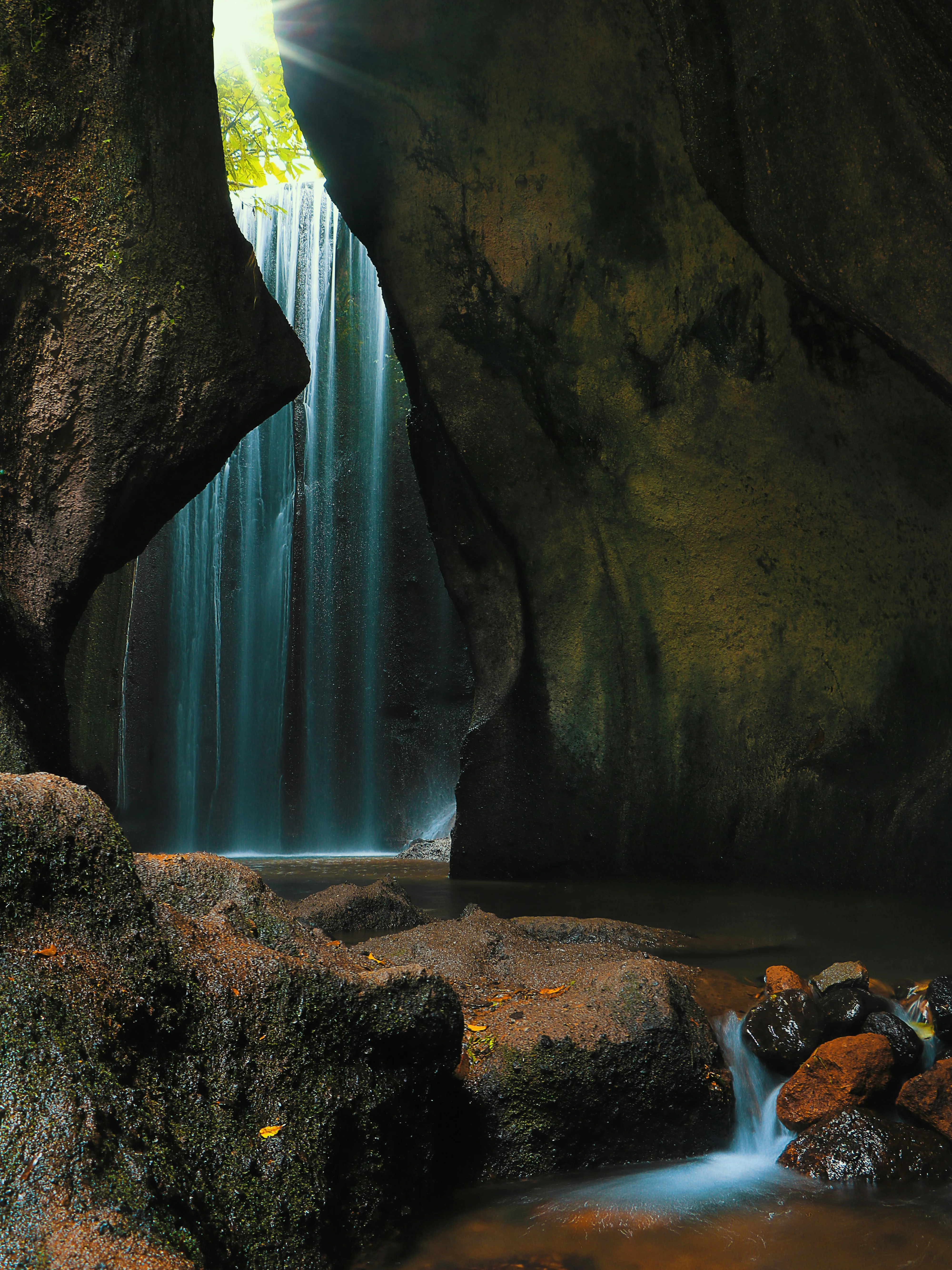 West Coast Wonders - Image 3