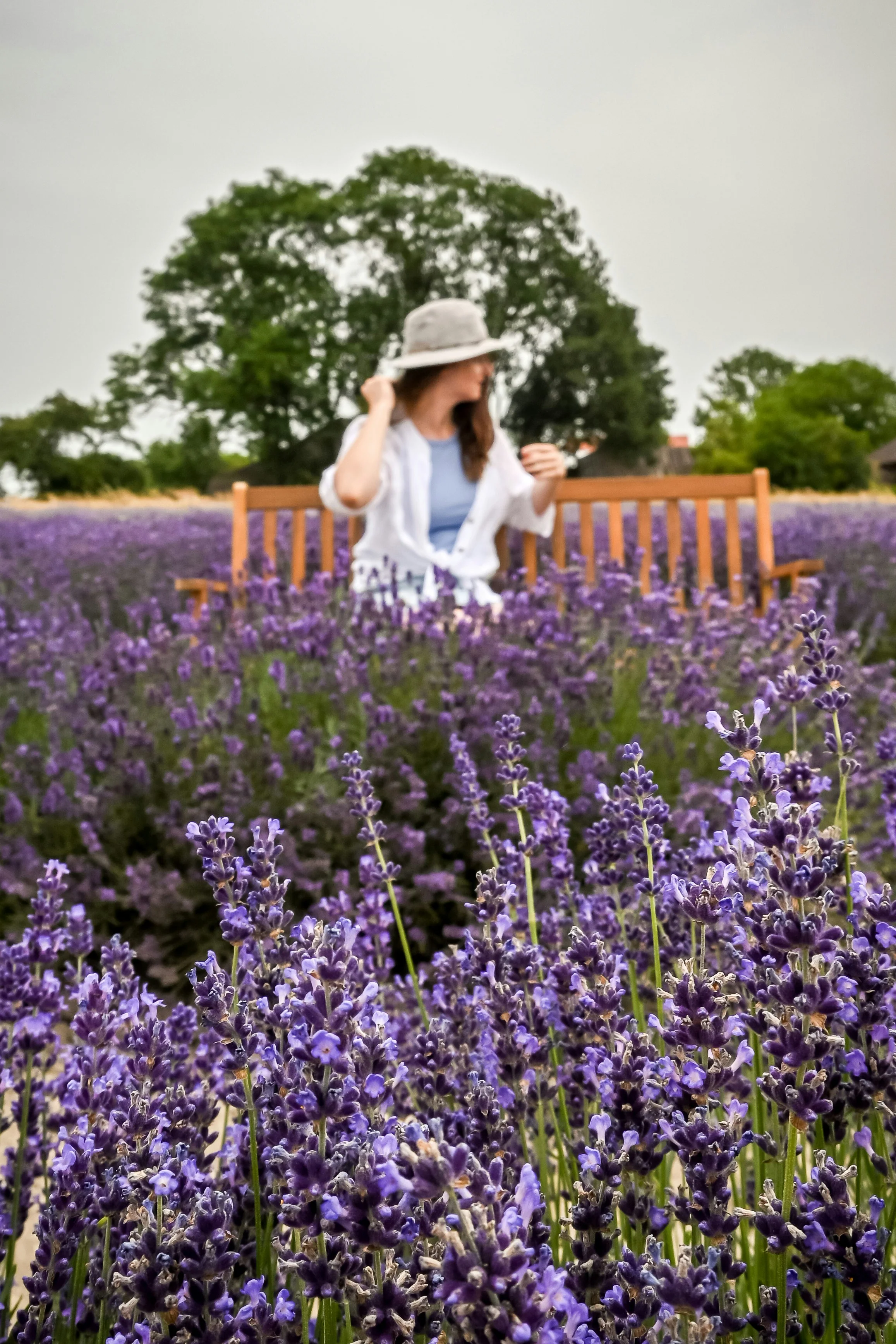 Wine Time and Hidden Gems - Image 4
