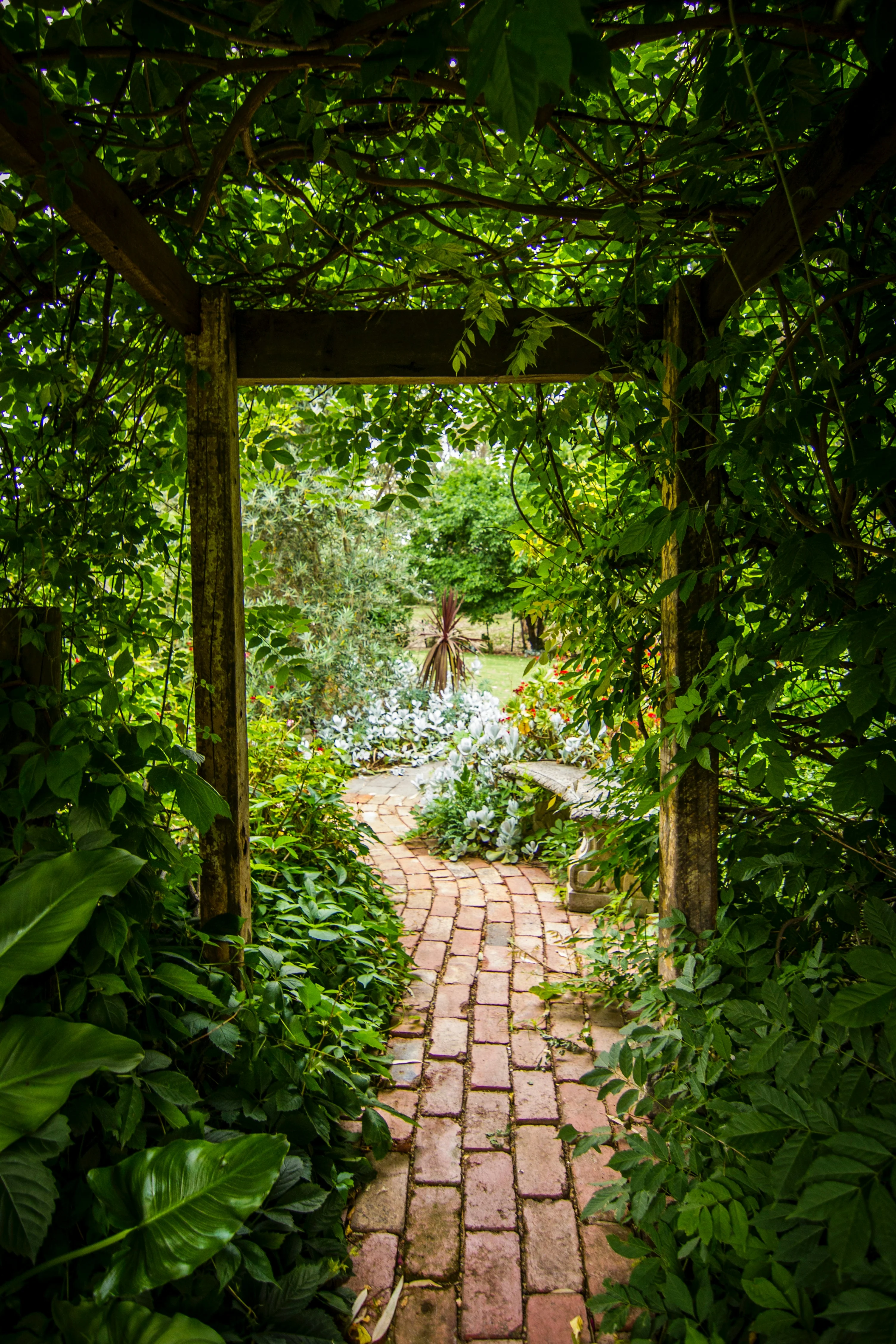 Wonder & Whimsy - Image 5