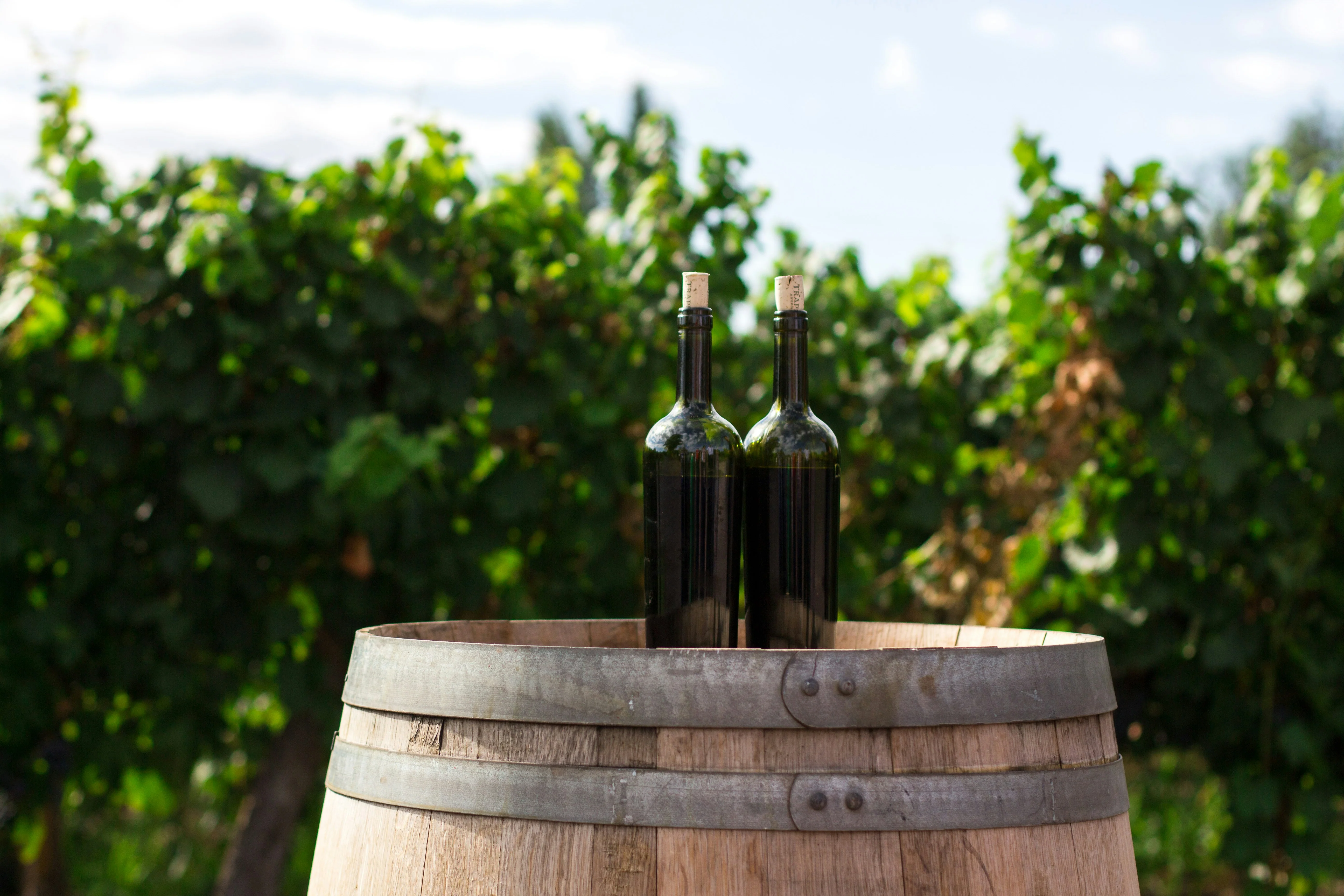Woodland Walks & Wineries - Image 3