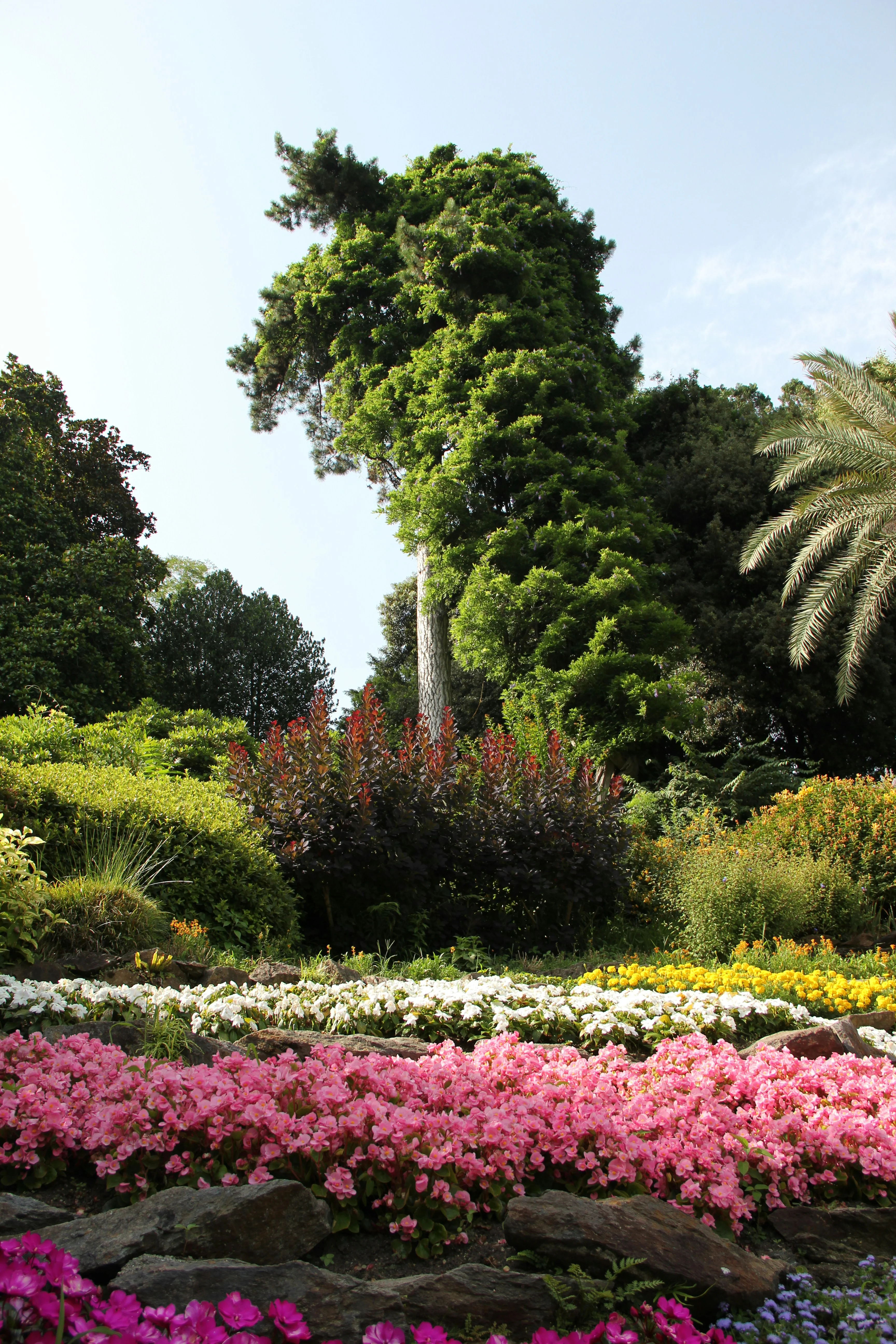 Woodland Walks & Wineries - Image 4