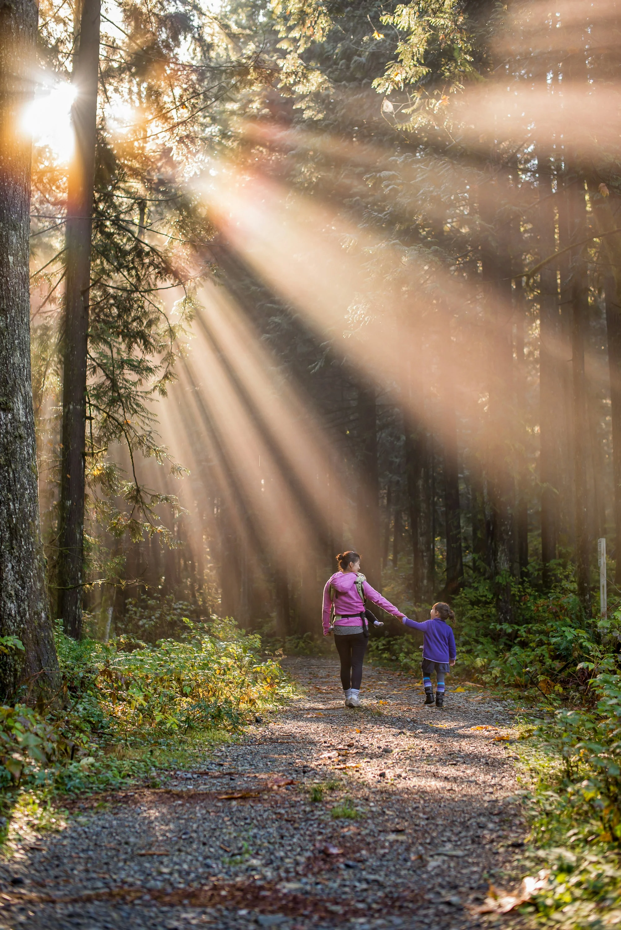 Woodland Walks & Wineries - Image 5