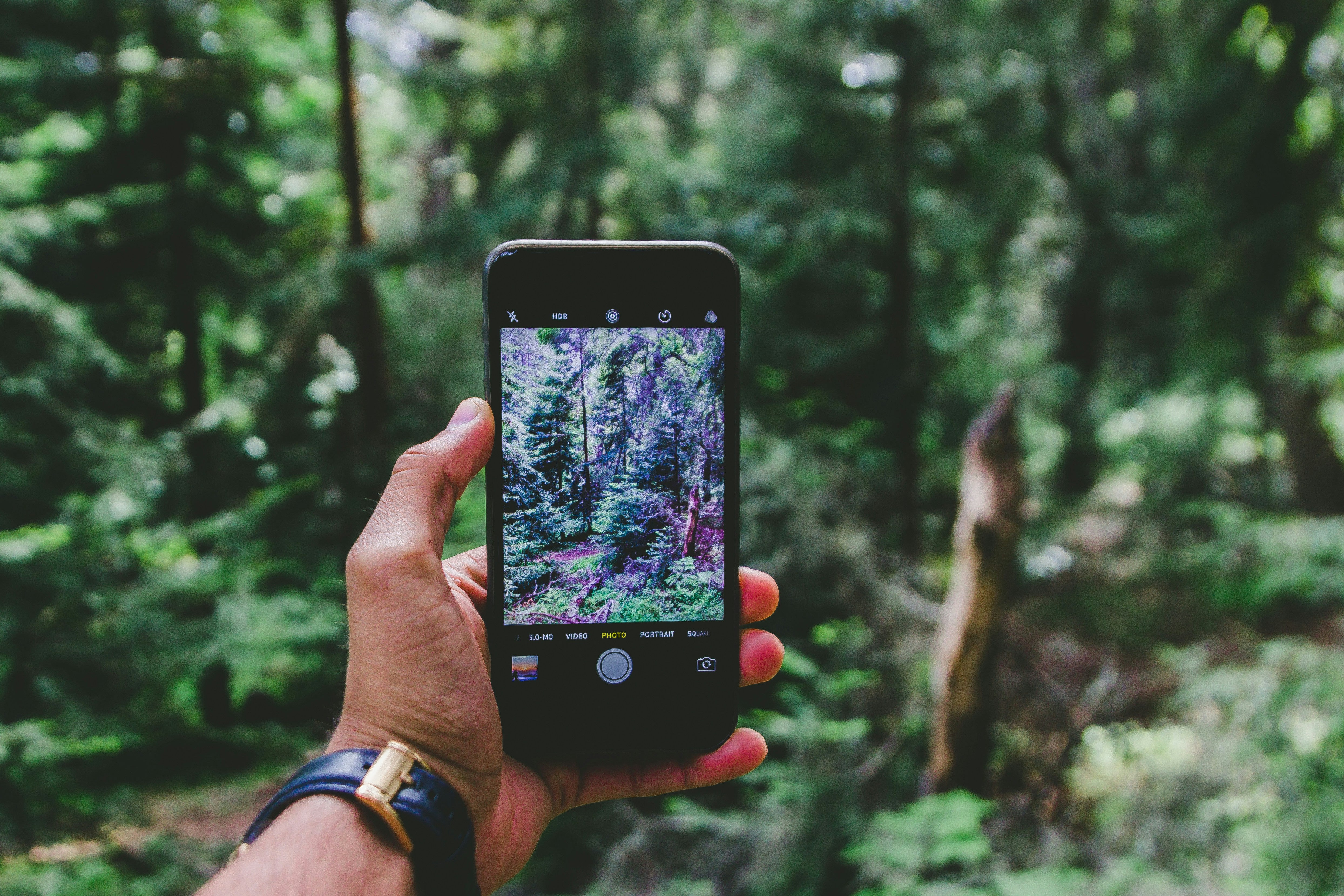 Woodland Walks & Wineries - Image 6